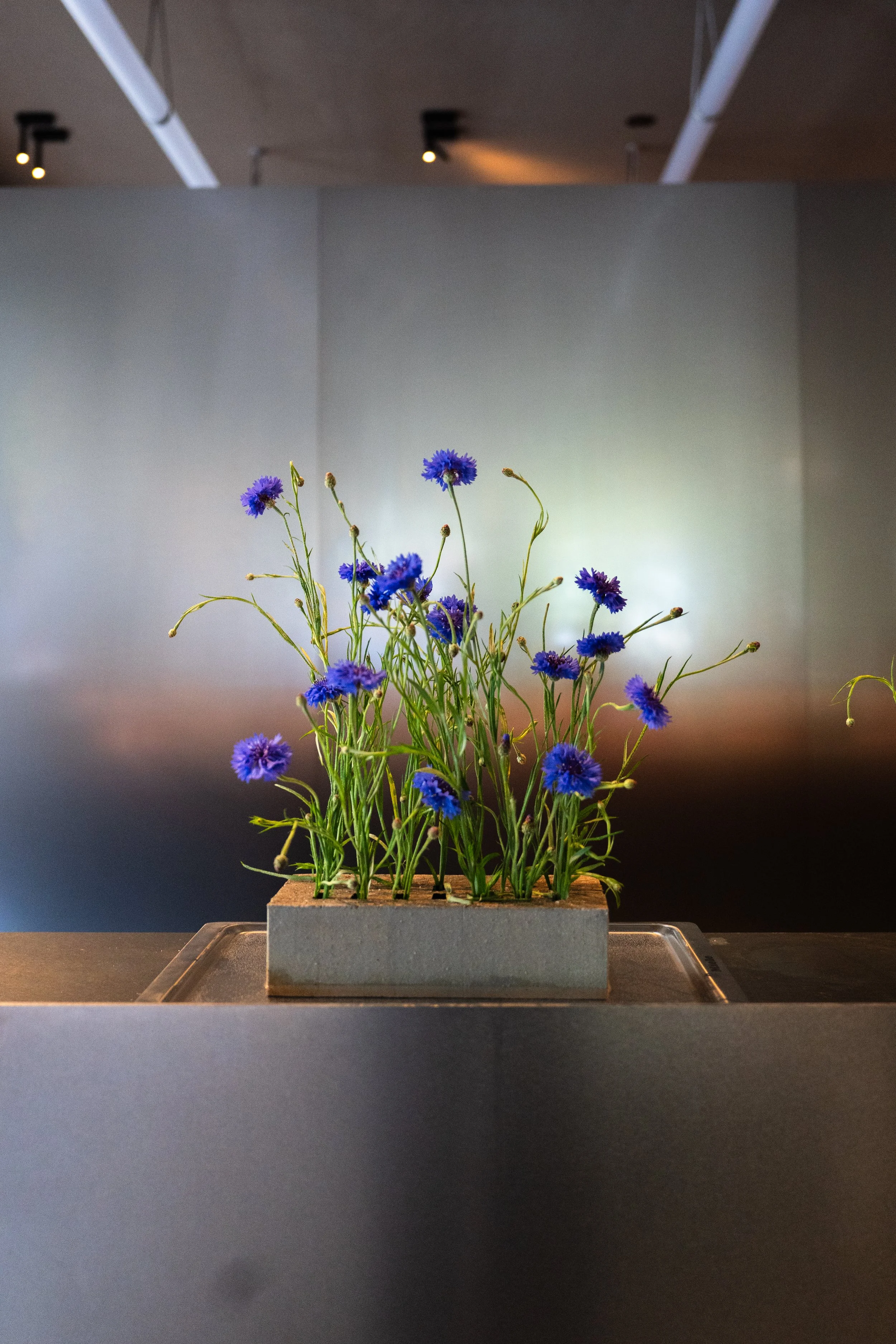NuanzxDesign_Hotels-HQ_14.jpg