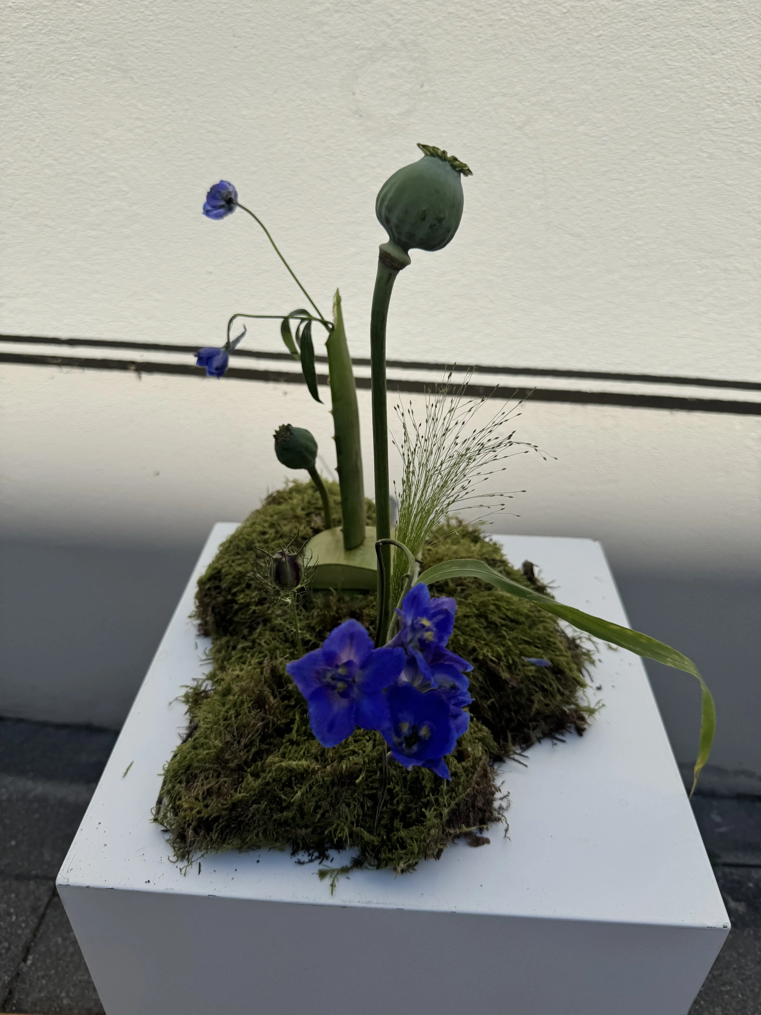 IMG_6810.jpeg