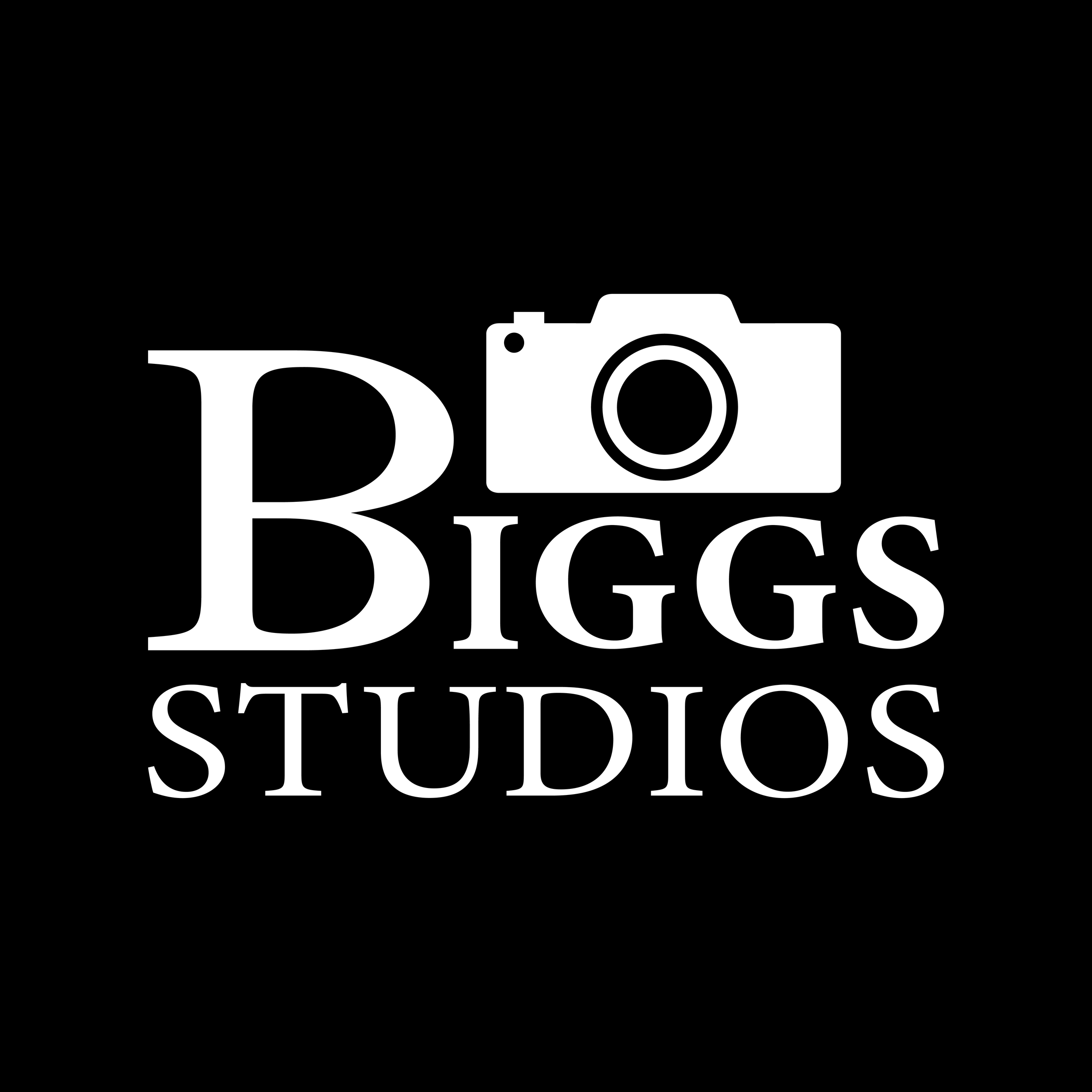 Logo for Biggs Studios with a camera icon and stylized text.