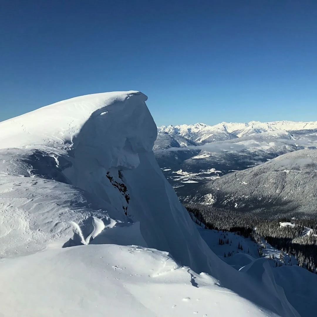 website pillar pictures Square (1).jpg