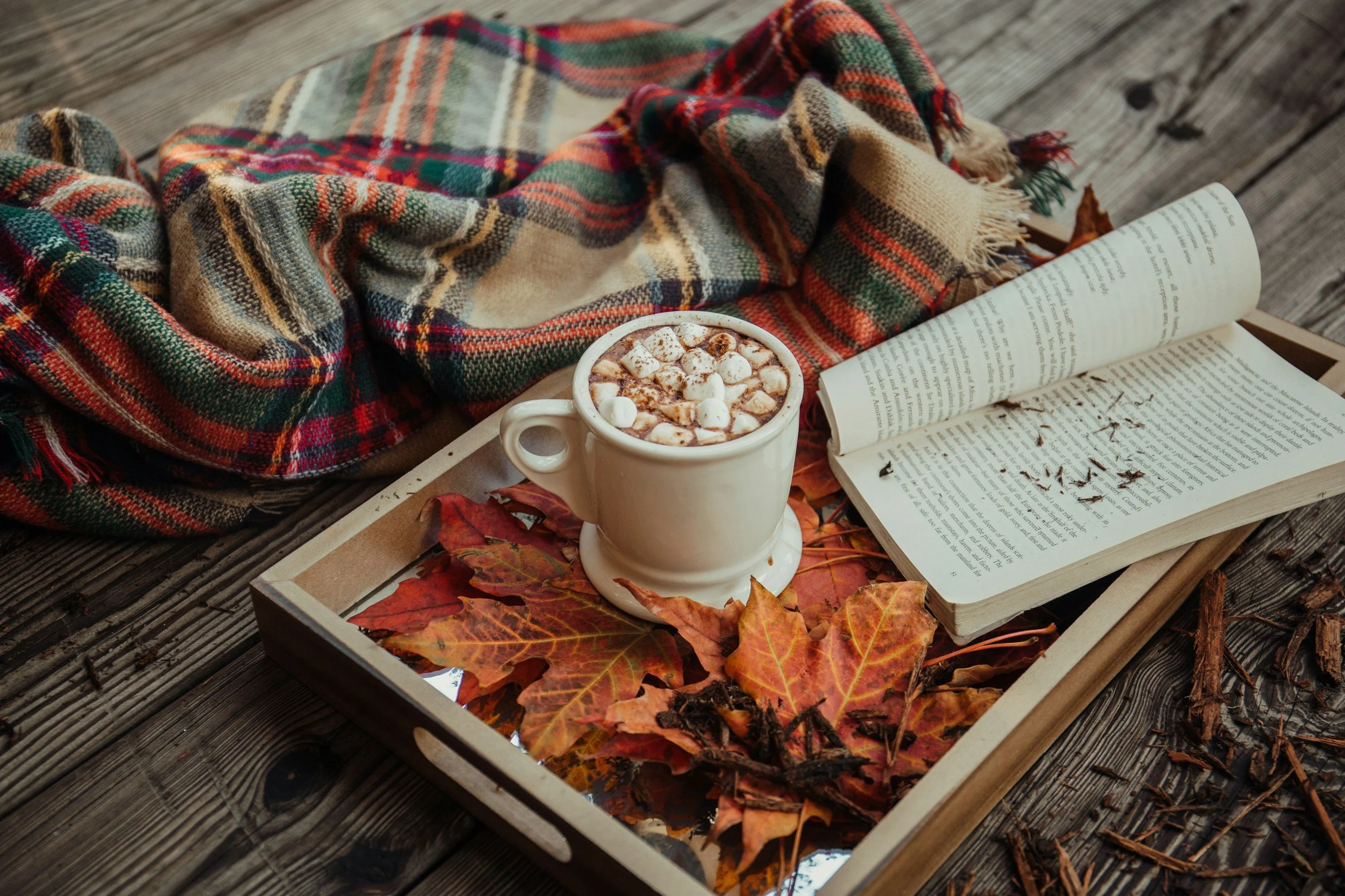 🍂 Autumn Reflections: A Day of Connection & Care