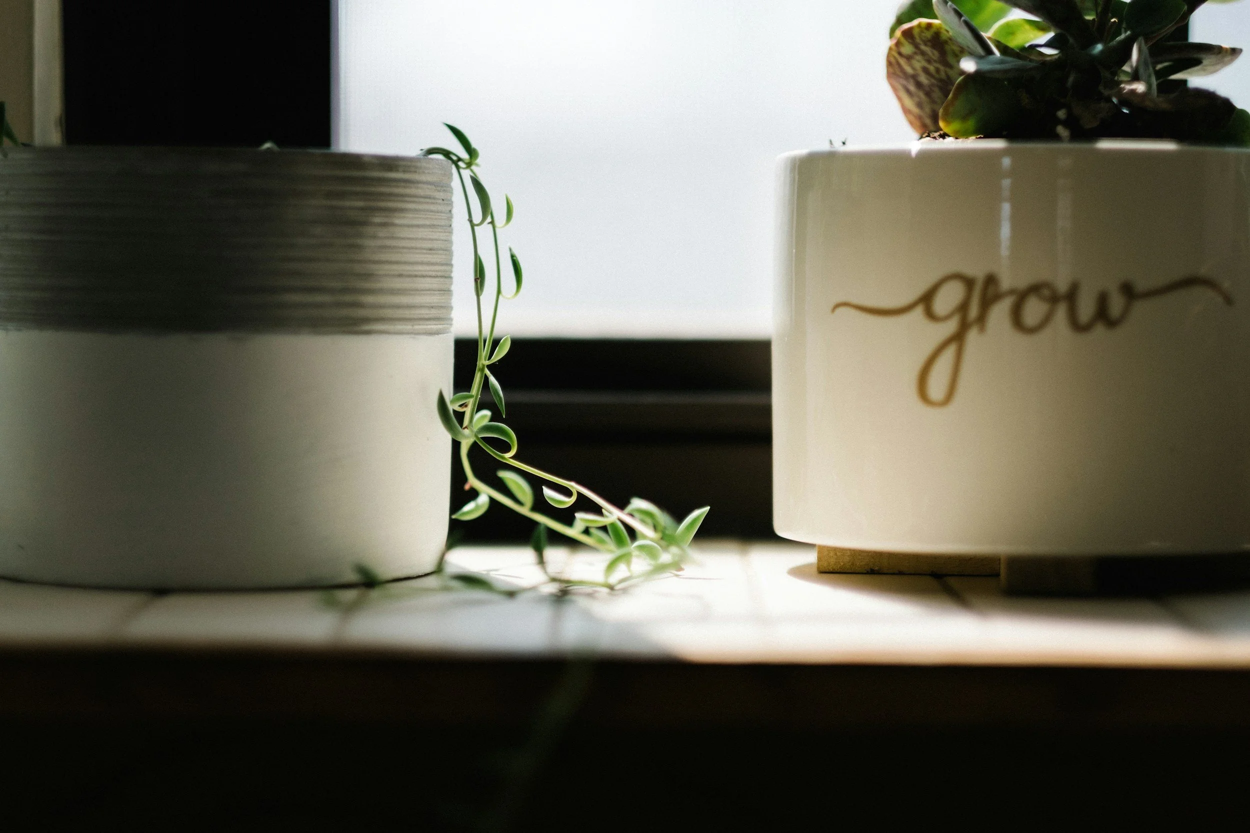 DBT Based Skills Group