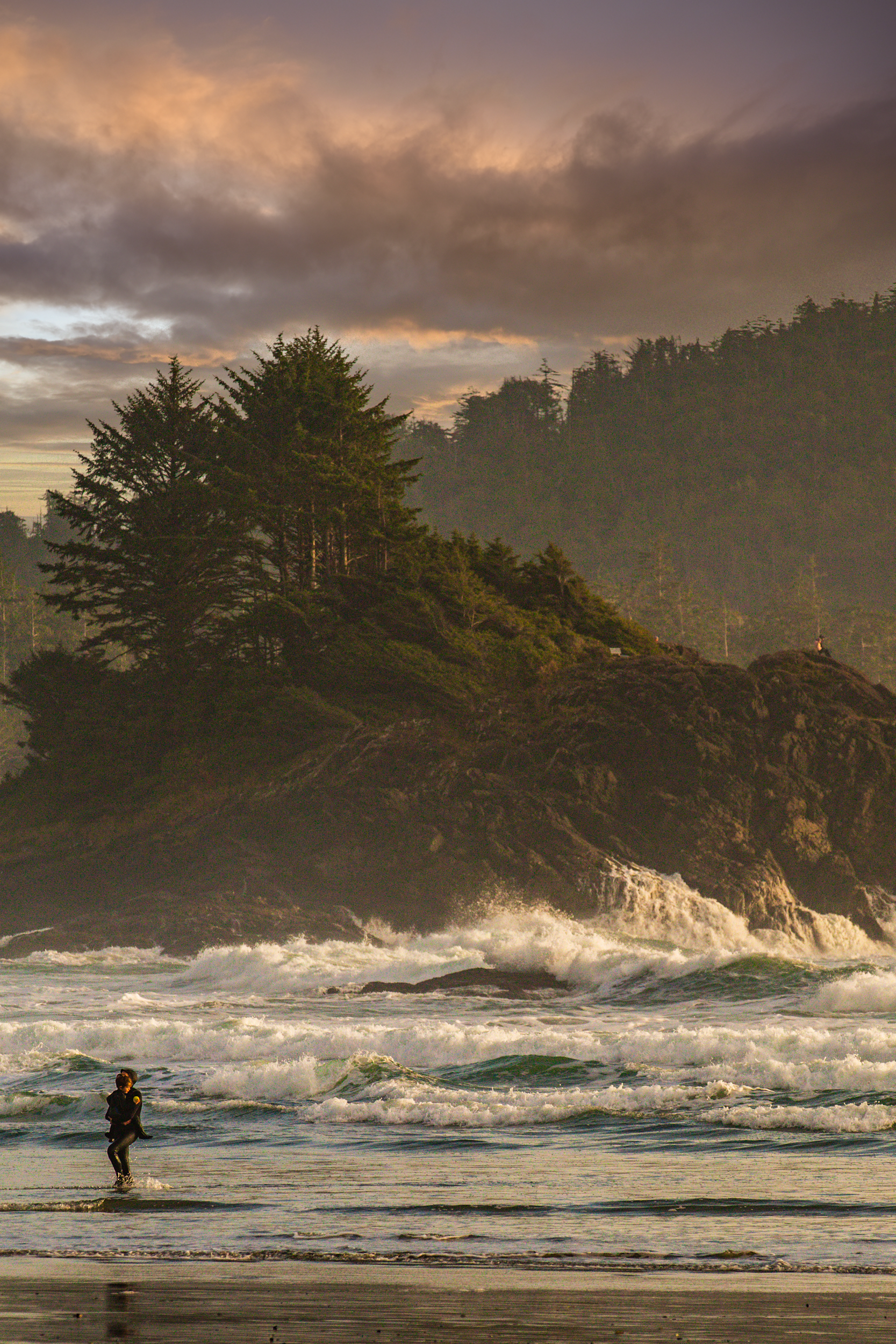Beach, Surfer, Vancouver Island