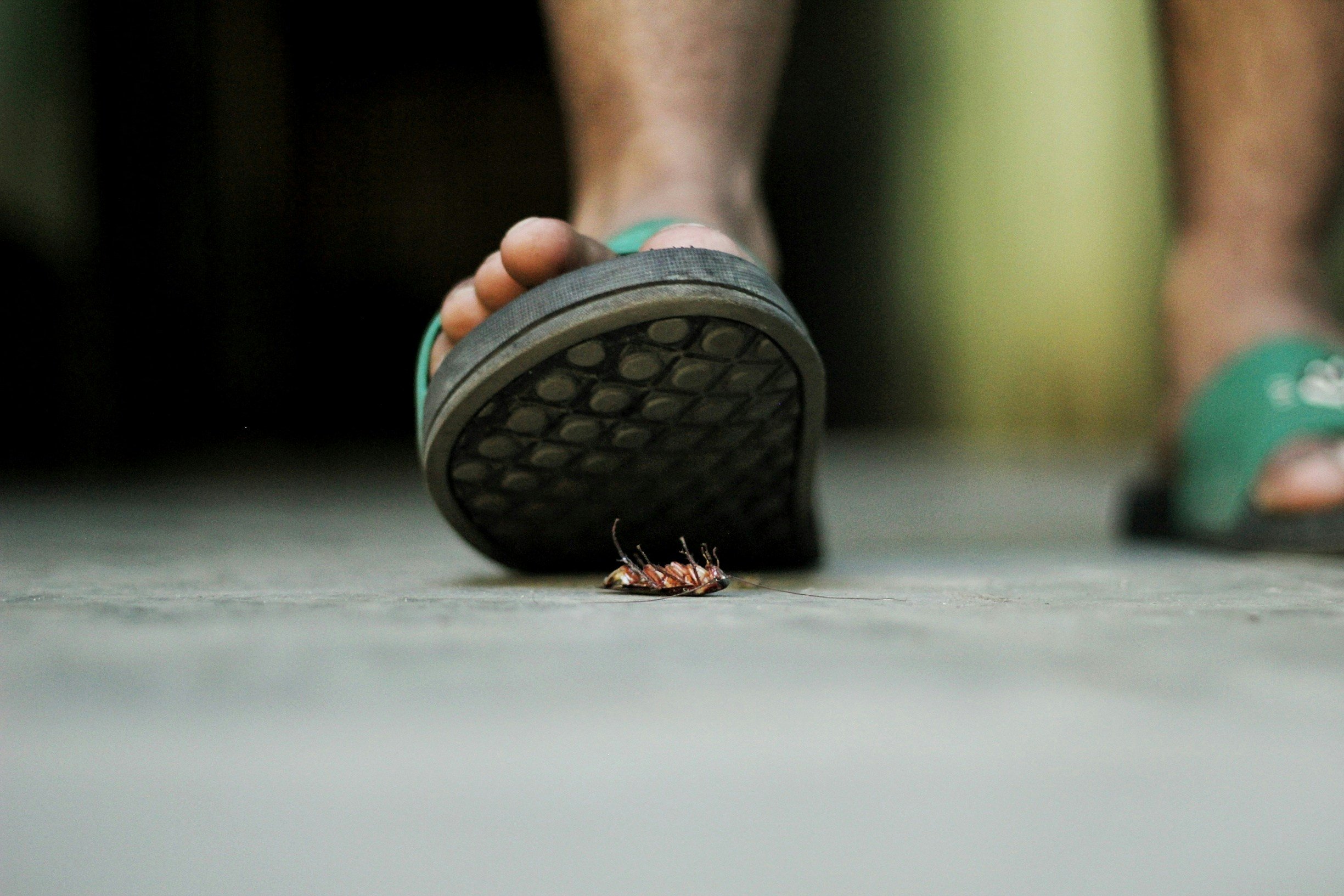 Close-up of a person's foot in a sandal poised above a dead cockroach on the floor.
