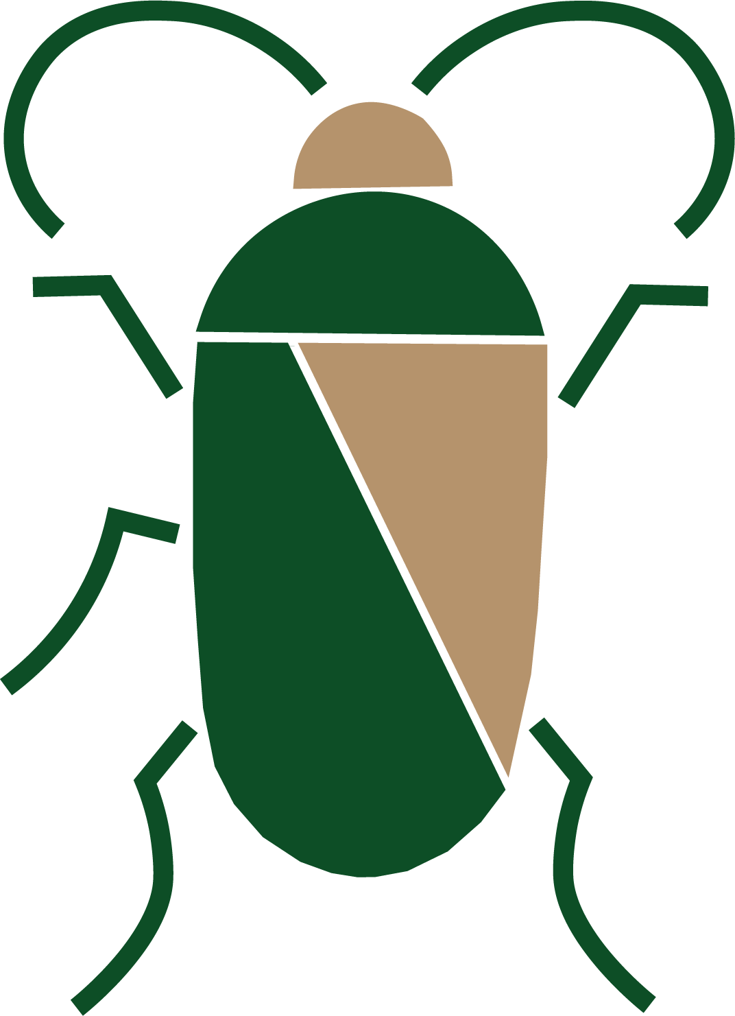 Stylized insect illustration with green and beige colors