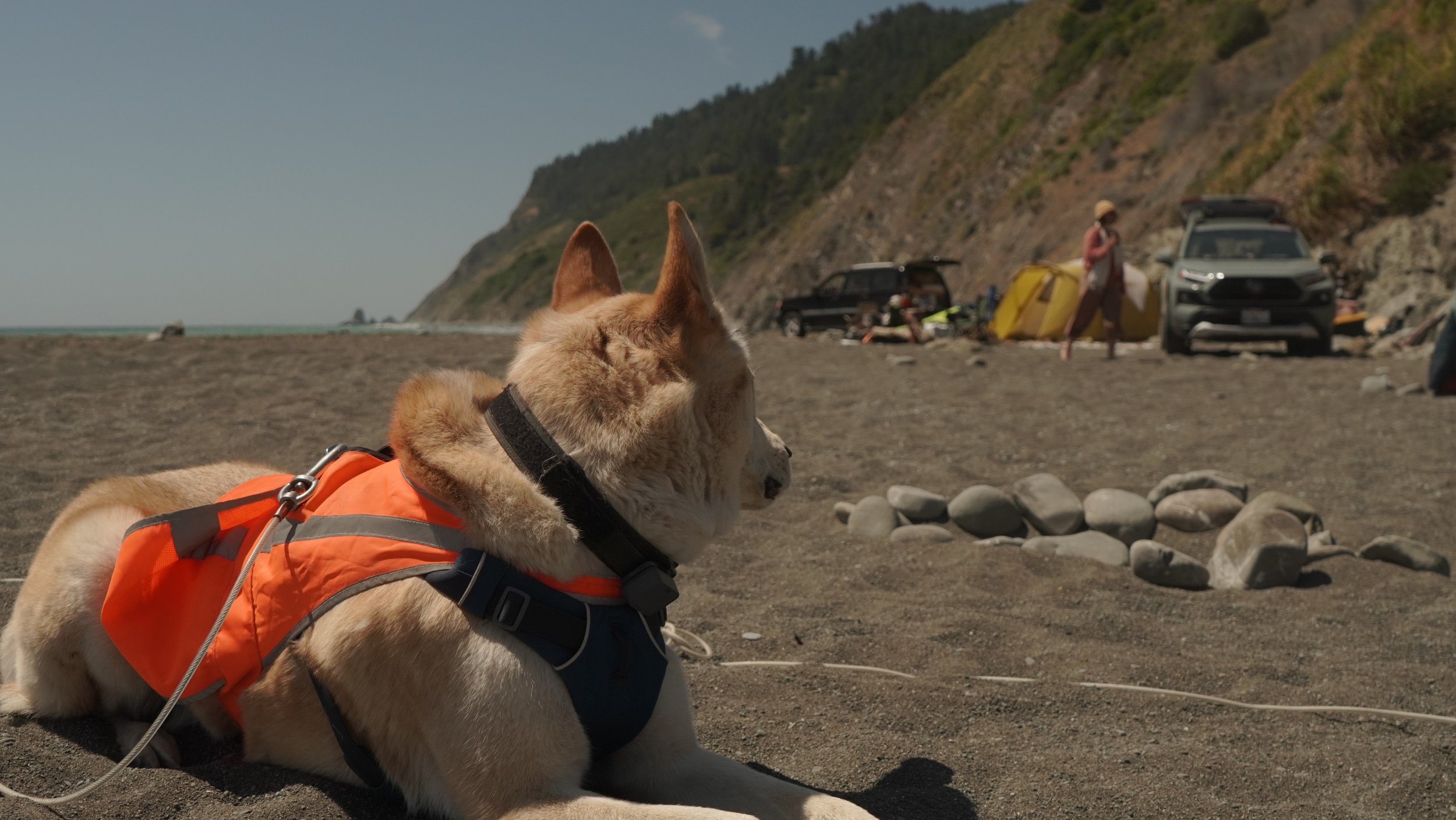 This Land is OUR Land