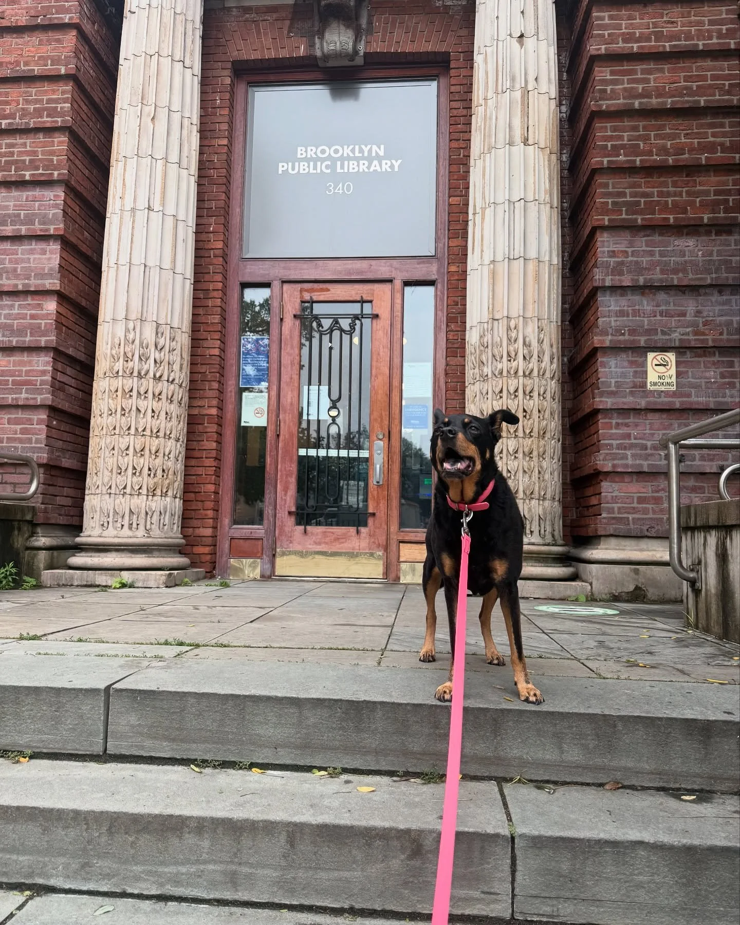 Why can't I go inside? I like to read too @bklynlibrary