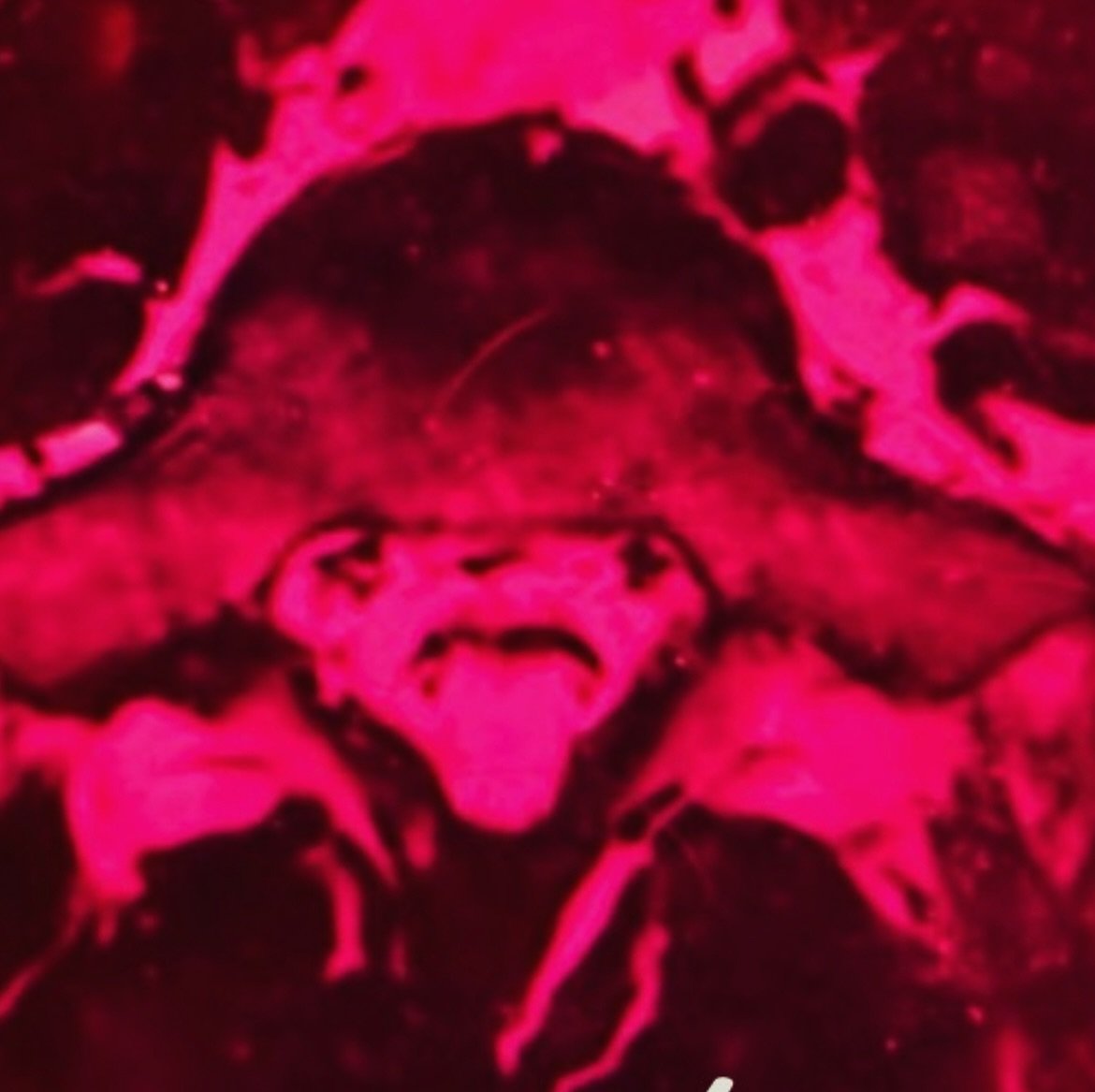 Hope everyone had a spooky scary time