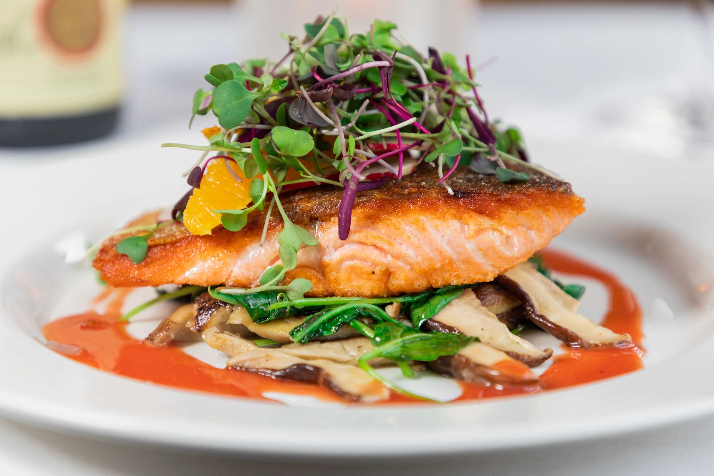 Steelhead Salmon -62.jpg