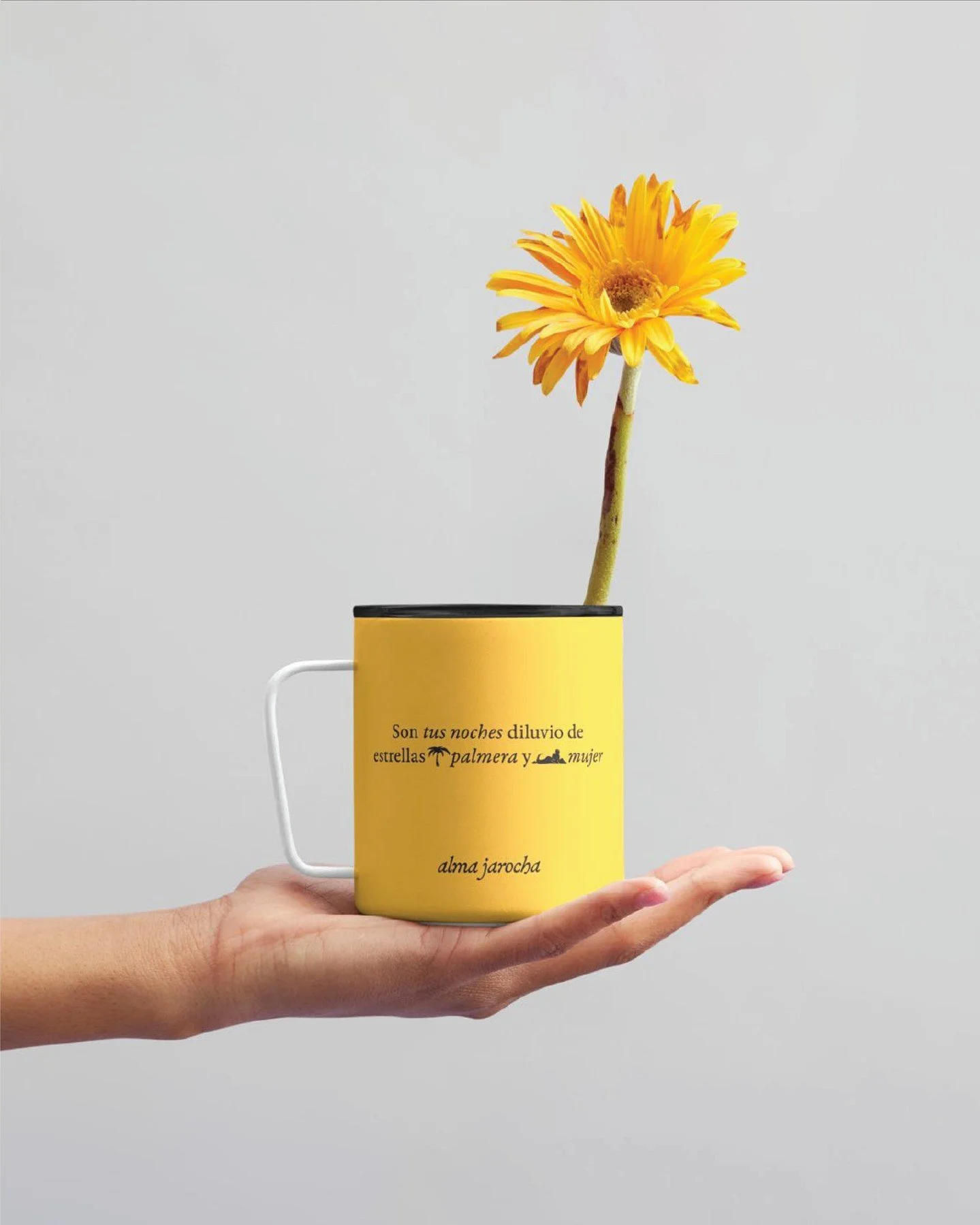 El lenguaje visual de Alma Jarocha se desarroll&oacute; con base en 3 pilares cuidadosamente seleccionados. 

Documentos hist&oacute;ricos, museograf&iacute;a, literatura y antiguos anuncios dieron primero forma al lenguaje de marca y a un lenguaje t