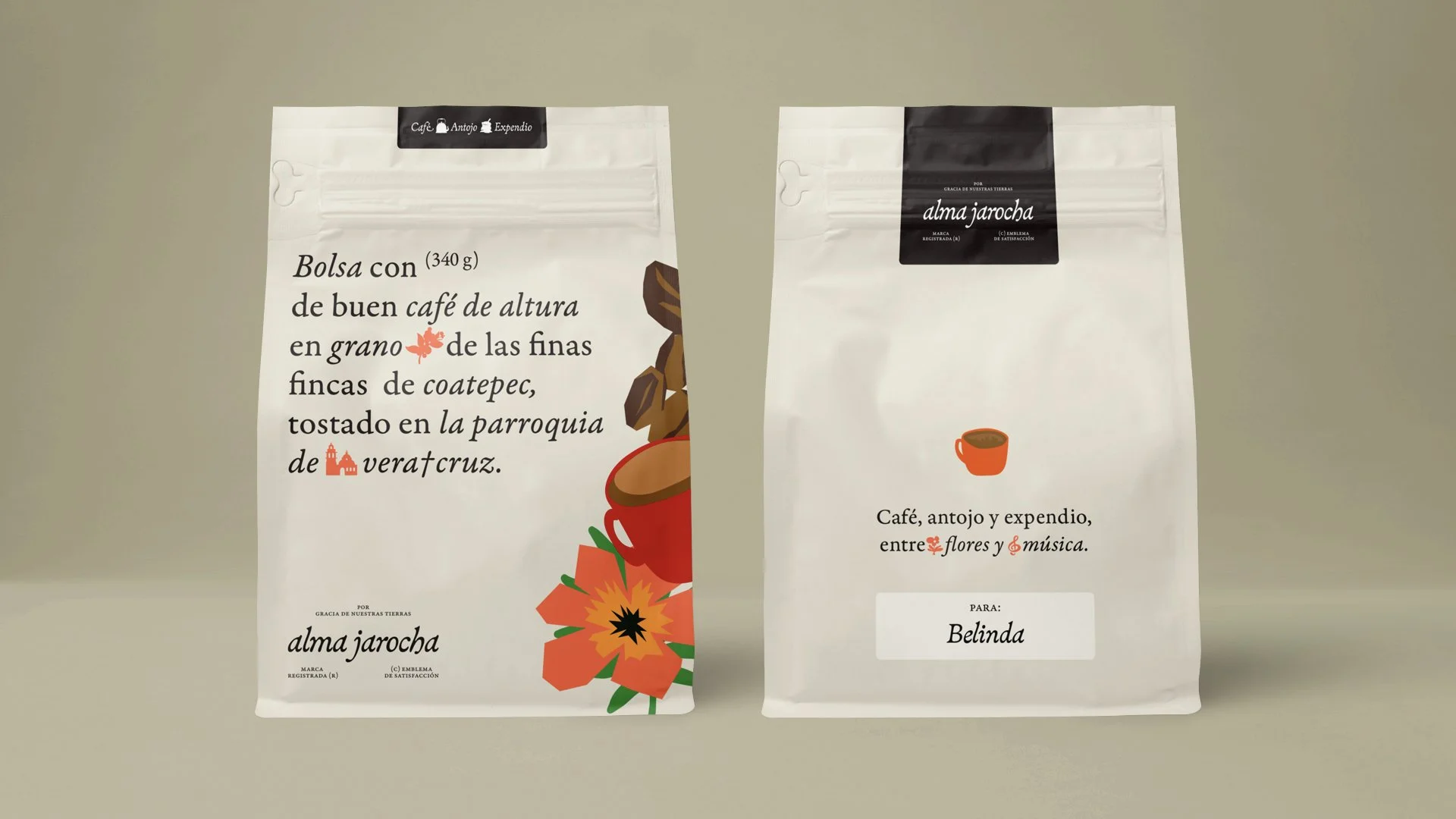 Alma Jarocha - Presentación ID.058.jpeg