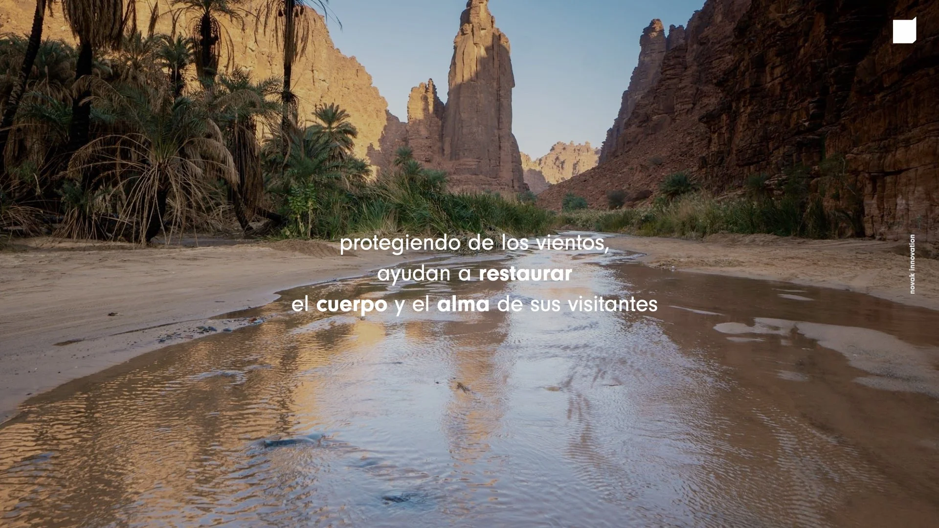 Proyecto Veracruz 2021- Novak + Fundamenta.057.jpeg