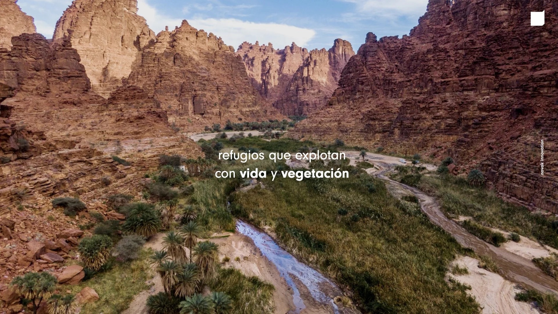 Proyecto Veracruz 2021- Novak + Fundamenta.056.jpeg