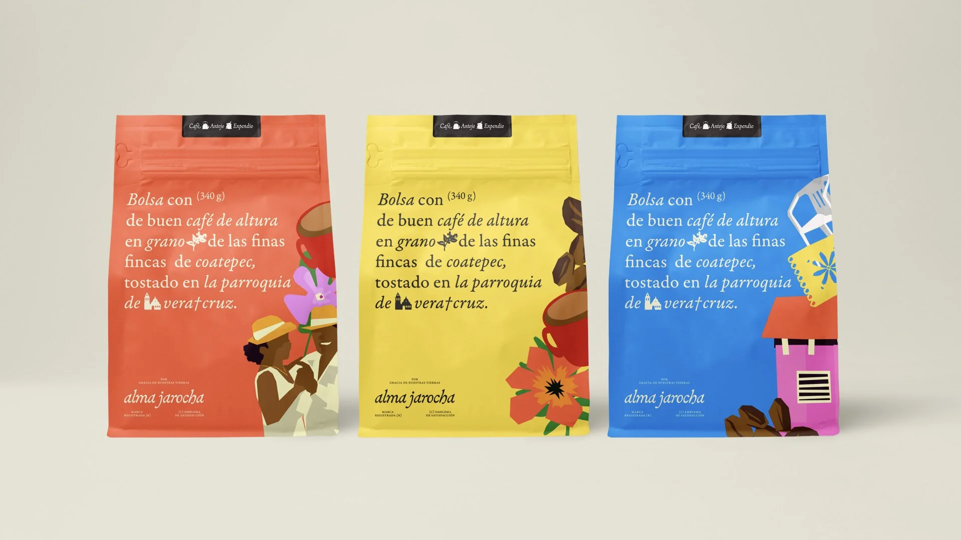 Alma Jarocha - Presentación ID.055.jpeg