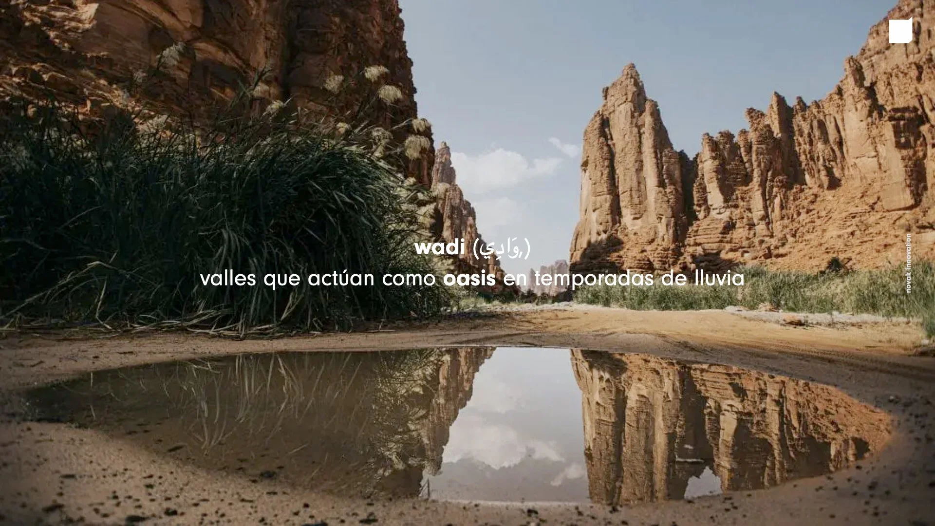 Proyecto Veracruz 2021- Novak + Fundamenta.055.jpeg