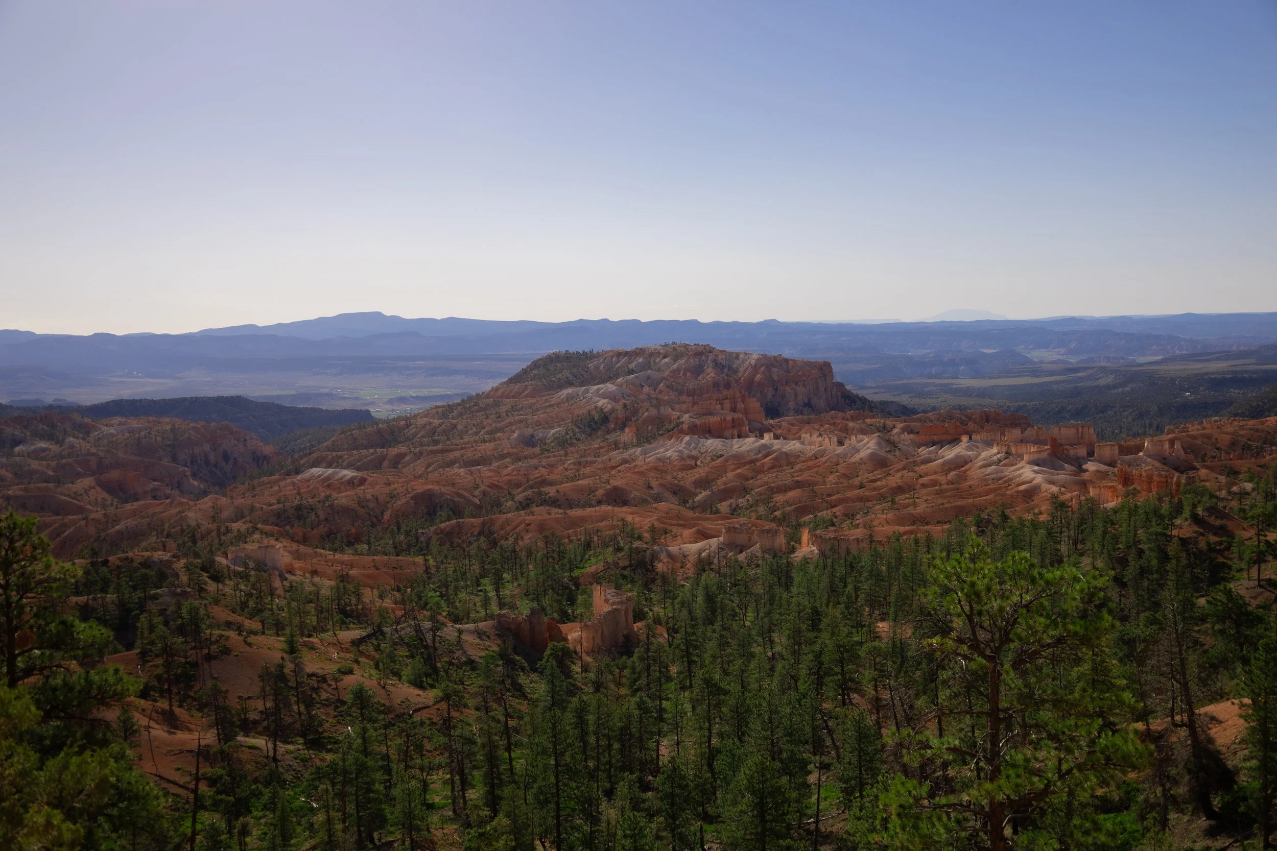 bryce3.jpg