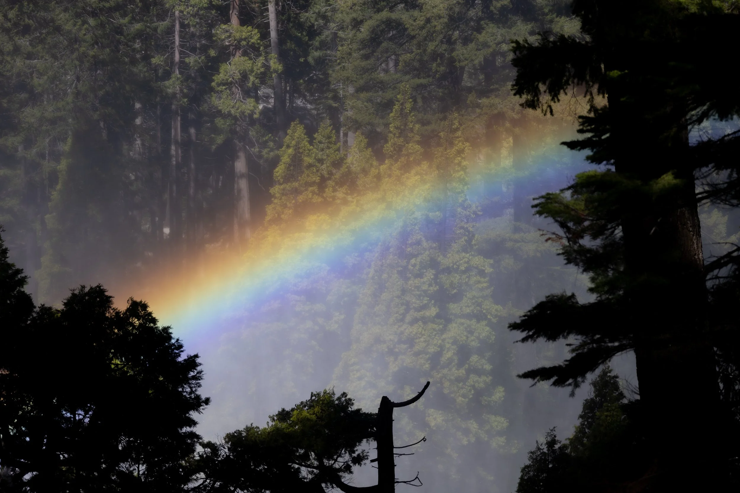 yosemite6.jpg