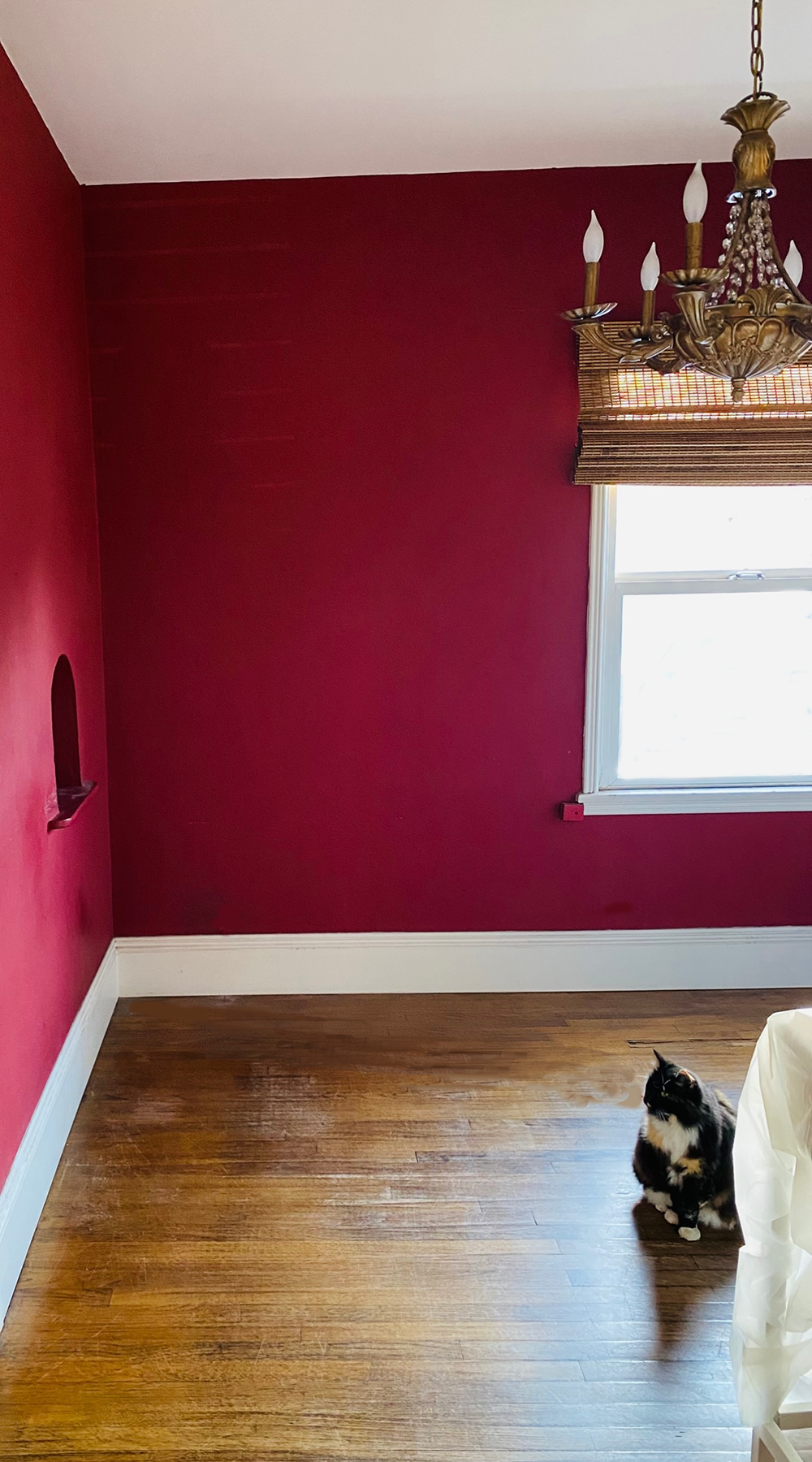 Playing with Red
