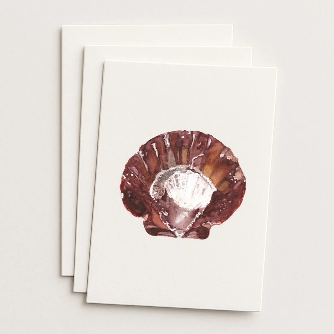 Matarangi Scallop Shell Where to Buy Minimalist Botanical Watercolour Watercolor Art Painting Online Birthday Greeting Card Cards Sara Meade Design NZ Artist Small Business Kiwi New Zealand