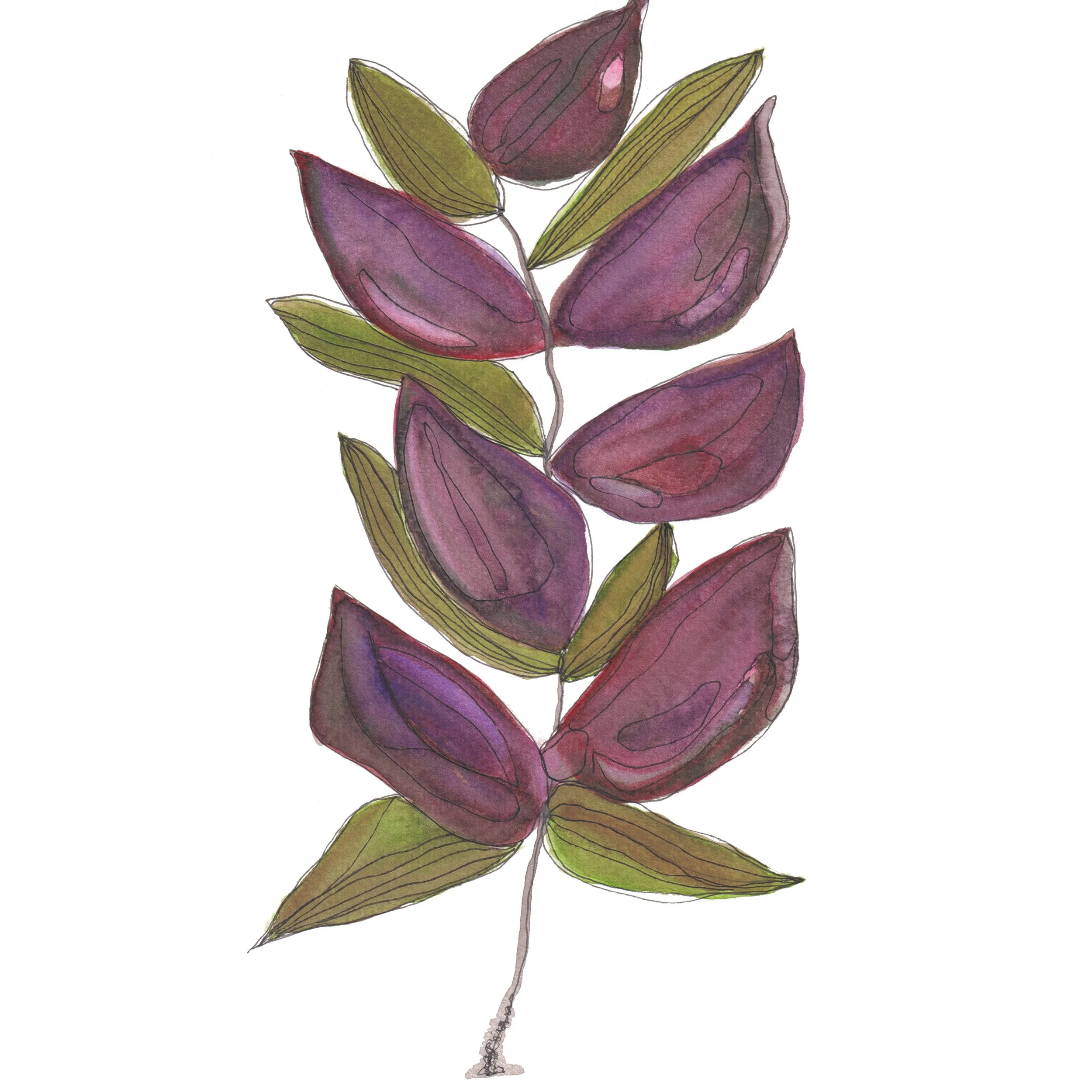 Claret and olive Abstract Where to Buy Minimalist Watercolour Watercolor Painting Wall Art Decor Online A4 A5 Sara Meade Design Sarah NZ Artist Small Business Kiwi Aotearoa New Zealand