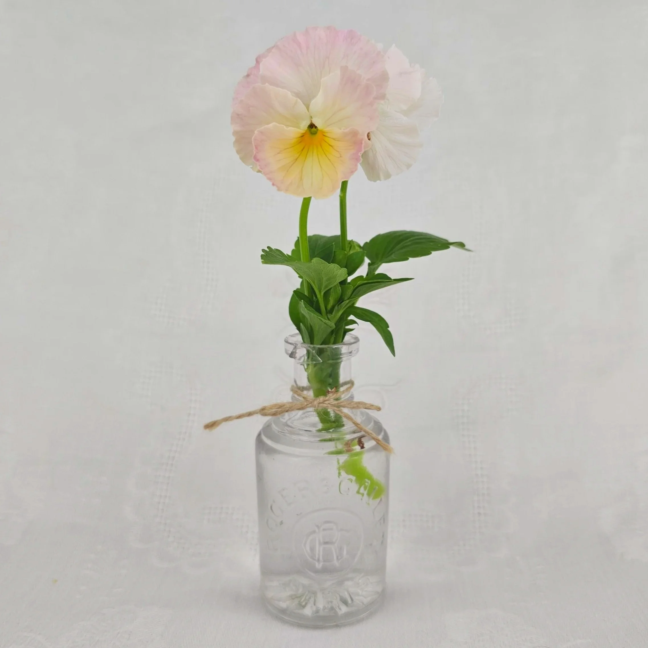 Five ‘Bucket List’ Goals That Have Shaped my Life