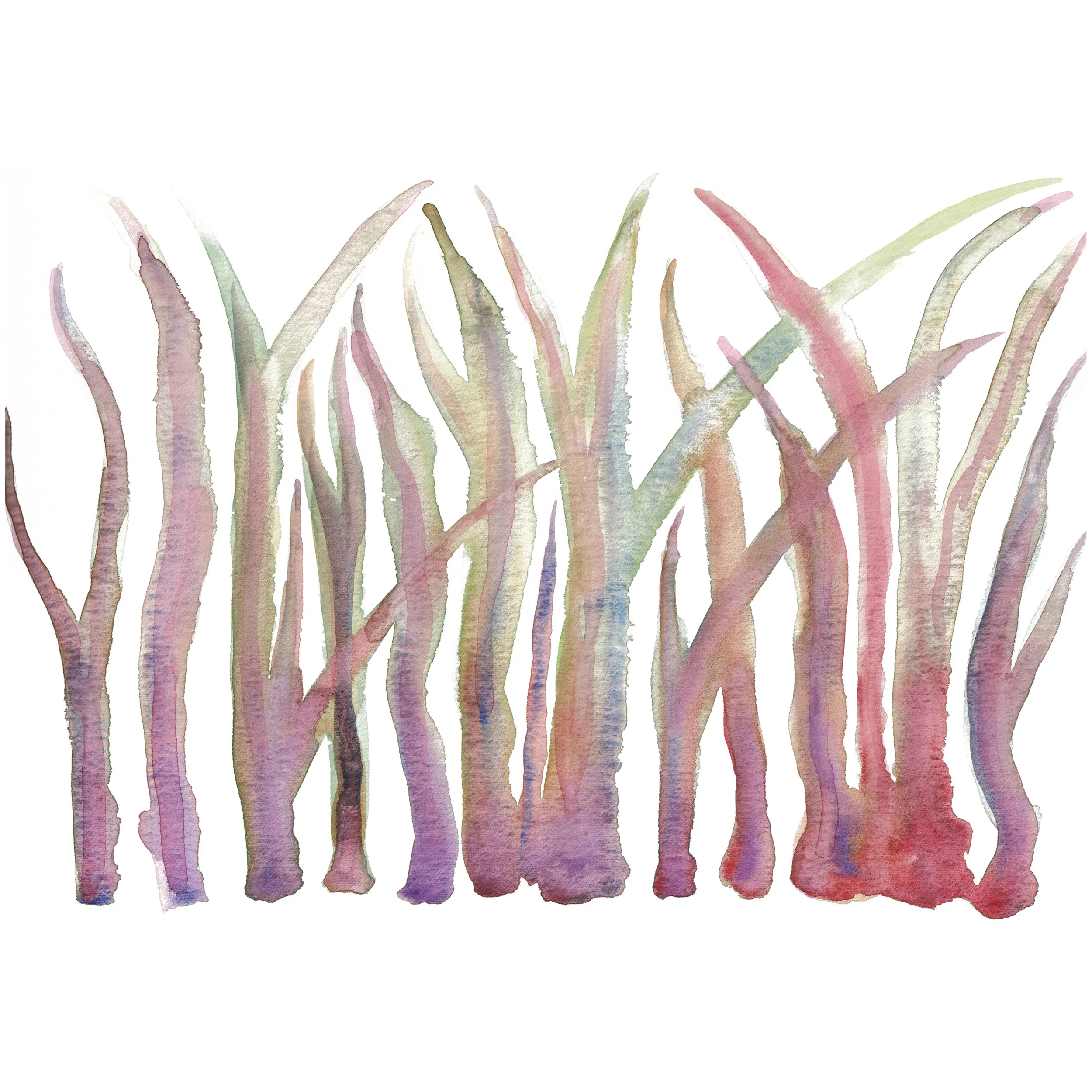 Wavy pink coral