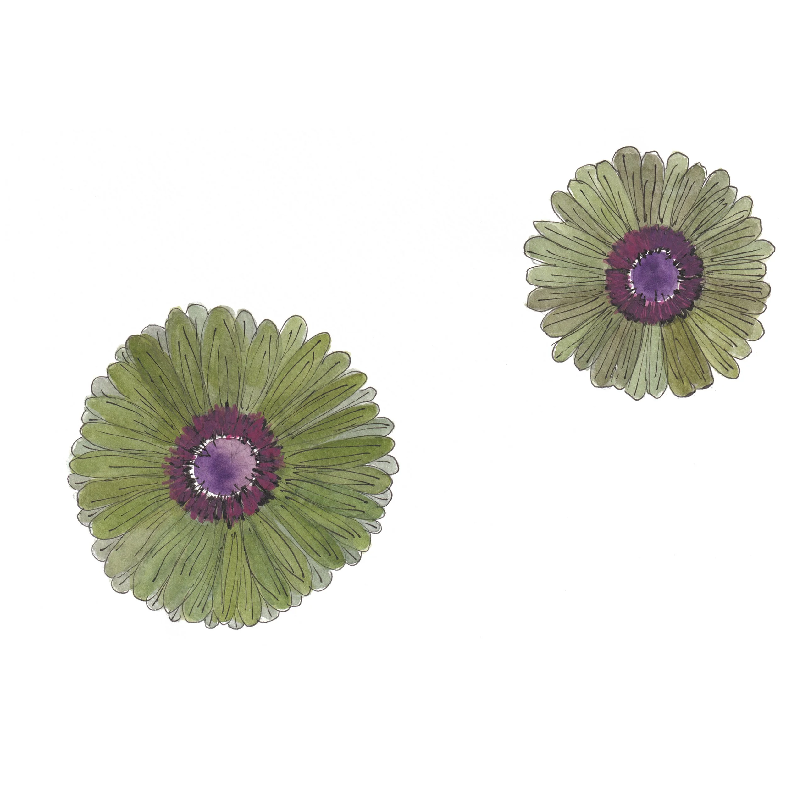 Green duet