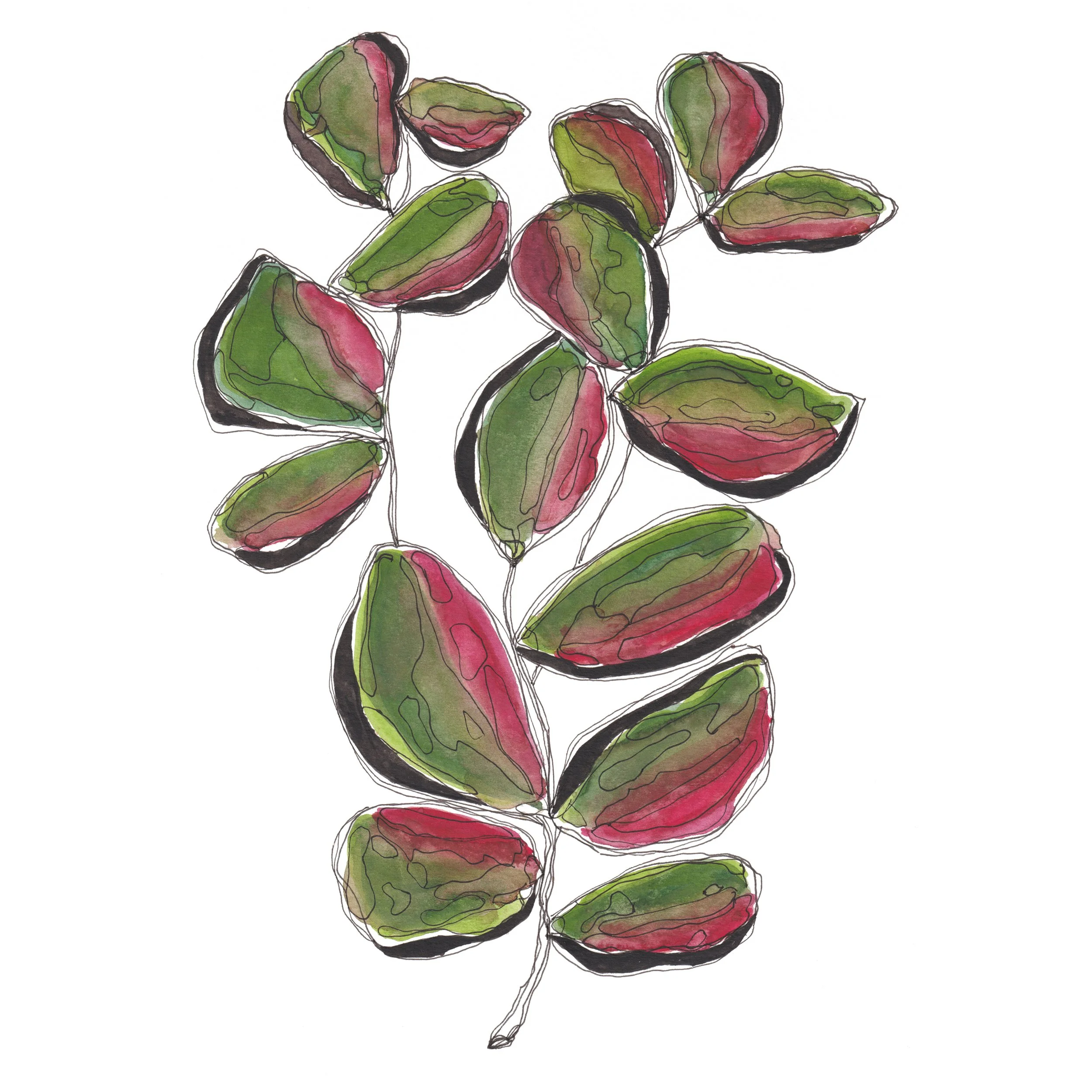 Christmas sprig