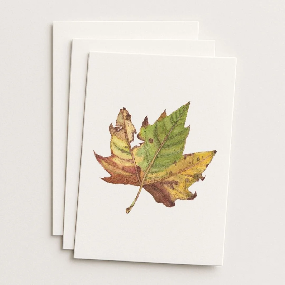 Fallen Leaf Where to Buy Botanical Leaves Watercolour Watercolor Art Painting Online Birthday Greeting Card Cards Sara Meade Design NZ Artist Small Business Kiwi Aotearoa New Zealand