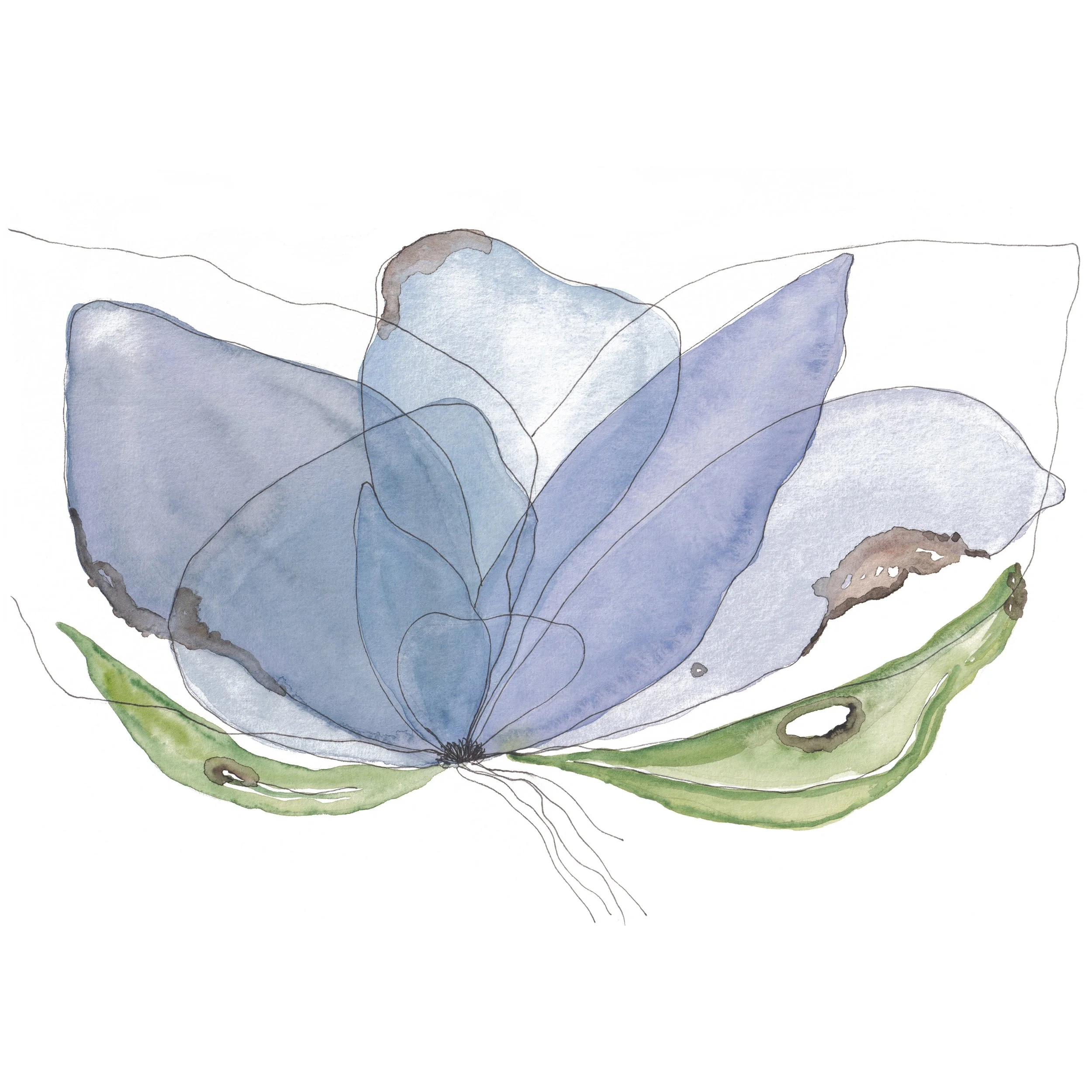 Blue hues butterflower