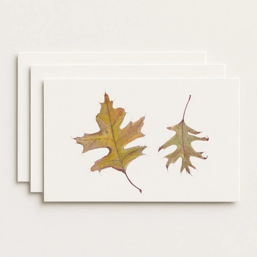 Two Autumn Leaves Where to Buy Botanical Leaf Watercolour Watercolor Art Painting Online Birthday Greeting Card Cards Sara Meade Design NZ Artist Small Business Kiwi Aotearoa New Zealand
