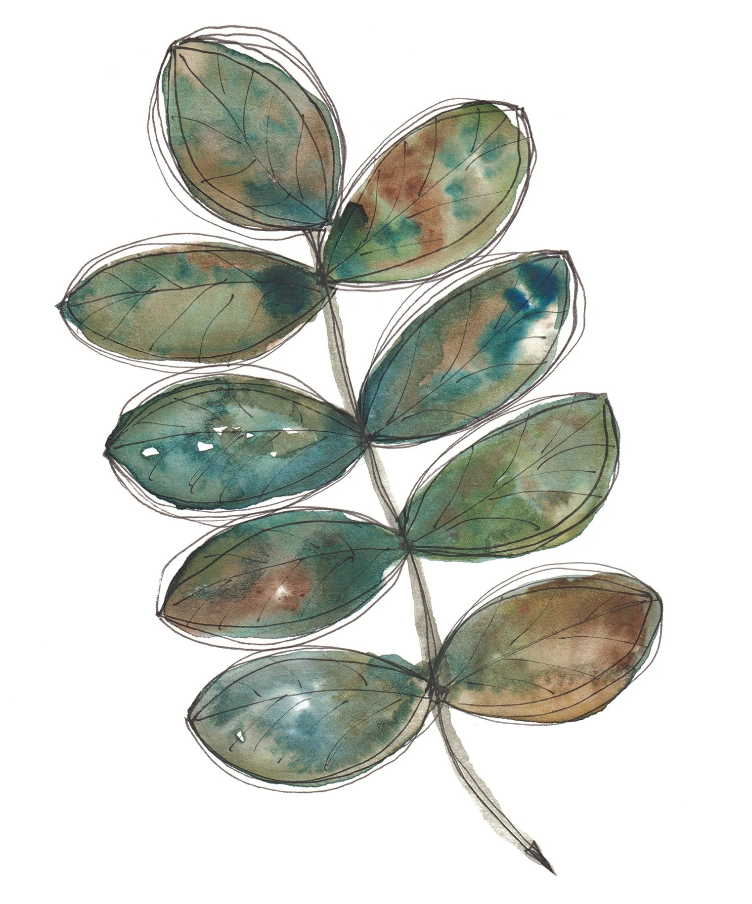 From the Earth Where to Buy Minimalist Modern Watercolour Watercolor Botanical Art Painting Online Birthday Greeting Card Cards Sara Meade Design NZ Artist Small Business Kiwi Aotearoa New Zealand