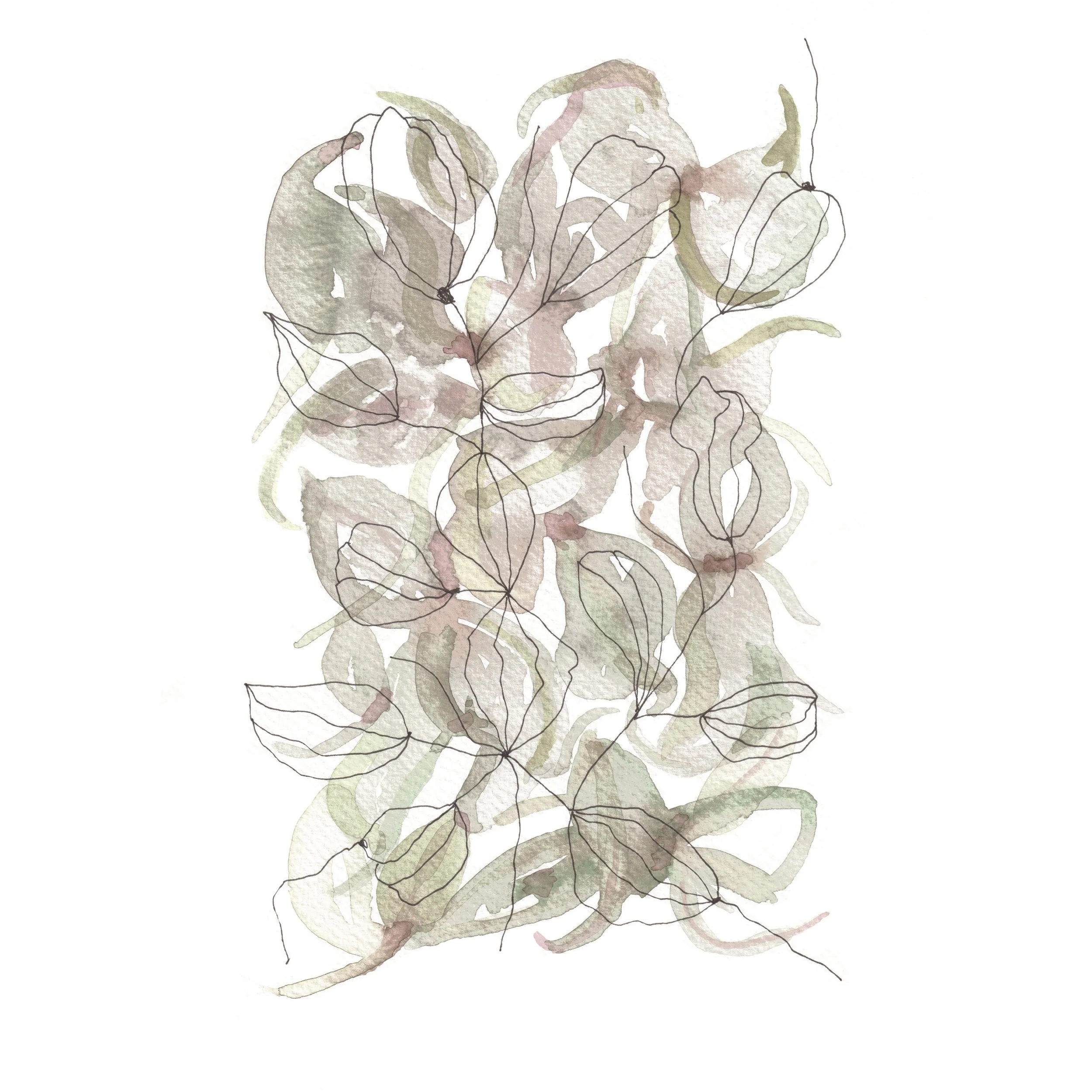 Gooseberry pods