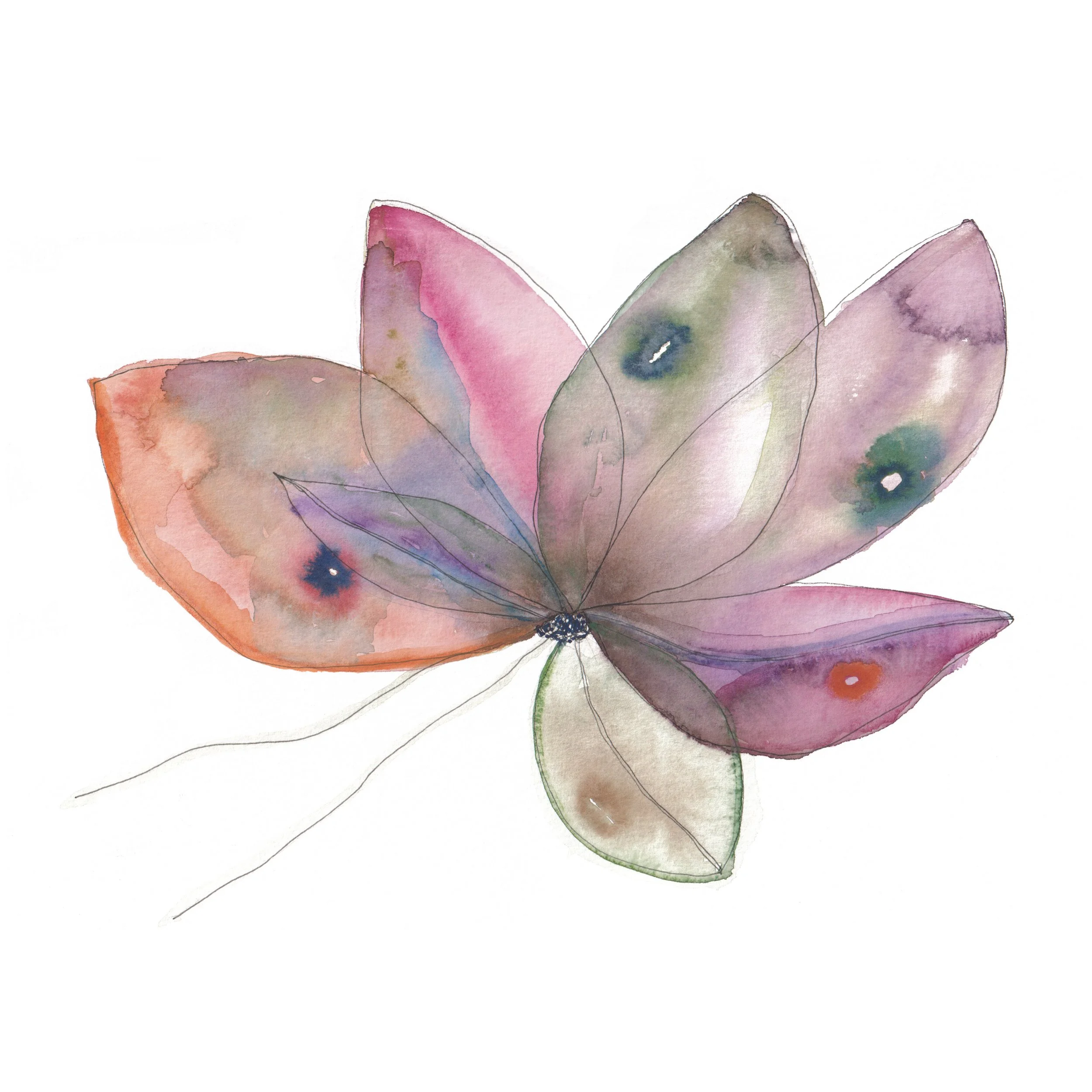 Floating butterflower