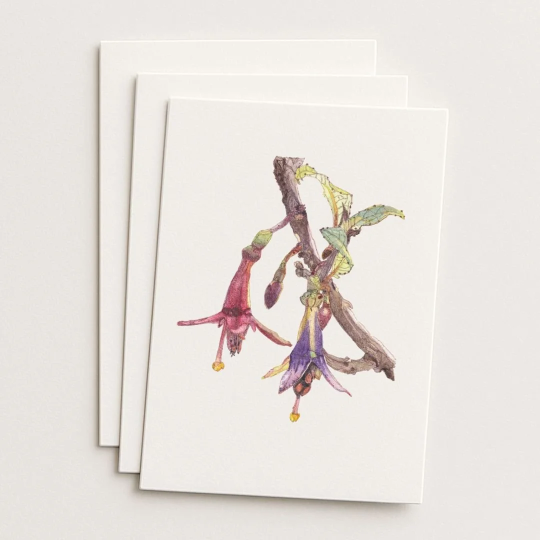 Native Fuchsia Kōtukutuku Where to Buy Botanical Floral Watercolour Watercolor Art Painting Online Birthday Greeting Card Cards Sara Meade Design NZ Artist Small Business Kiwi Aotearoa New Zealand