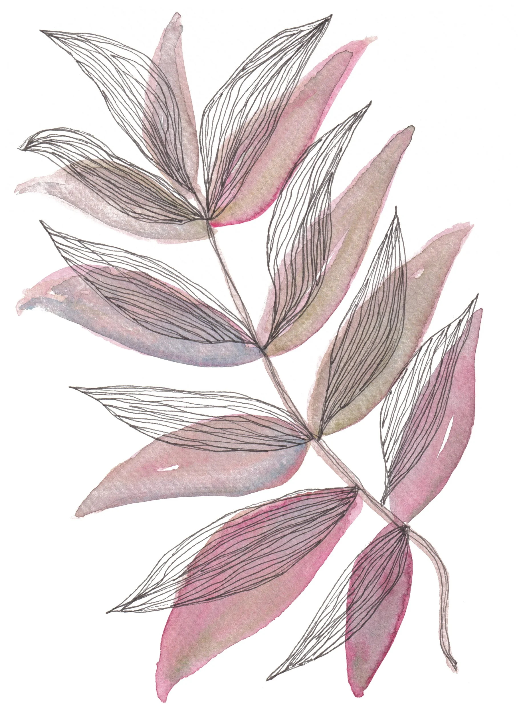 Softest Sprig Where to Buy Minimalist Modern Watercolour Watercolor Botanical Art Painting Online Birthday Greeting Card Cards Sara Meade Design NZ Artist Small Business Kiwi Aotearoa New Zealand