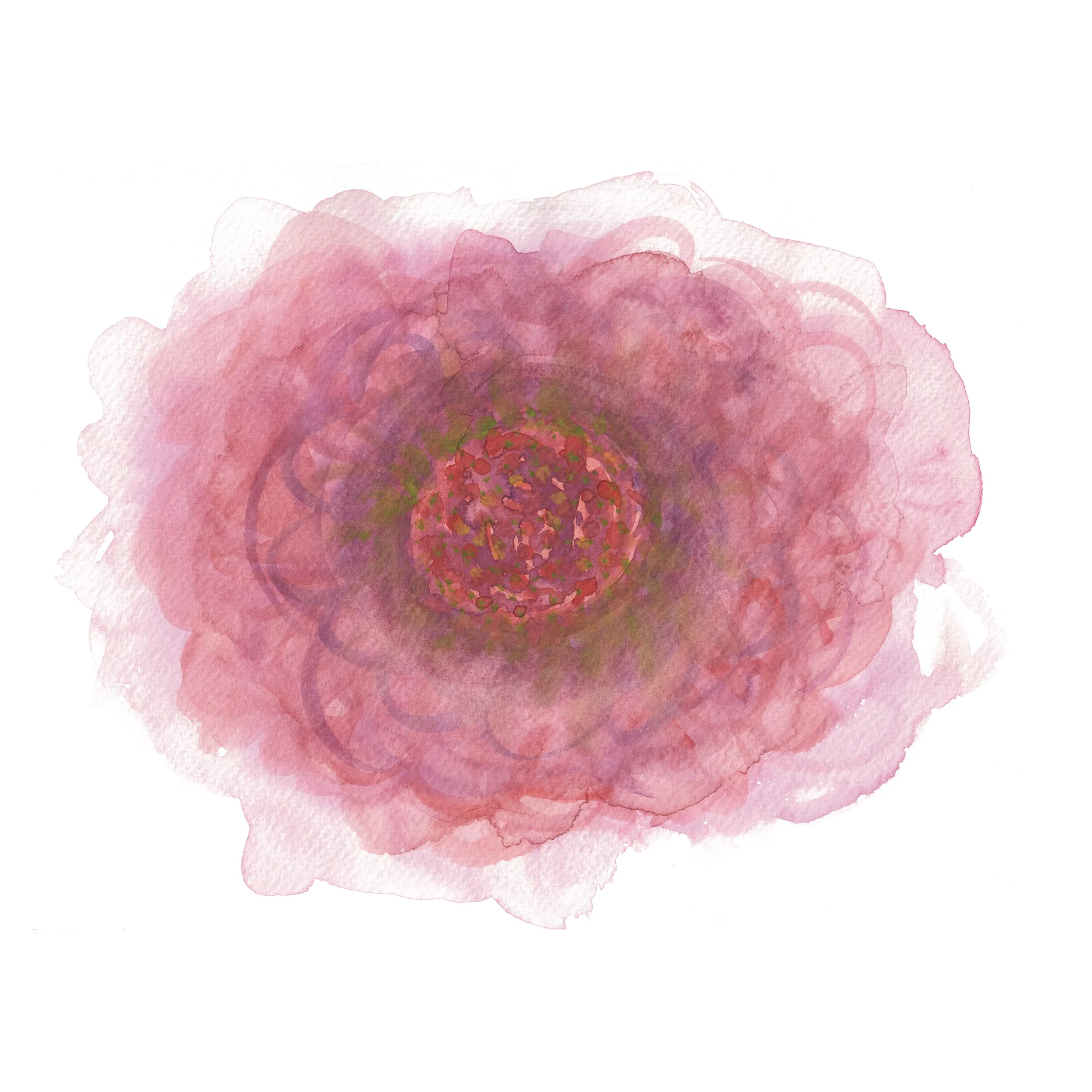 Camellia orbits