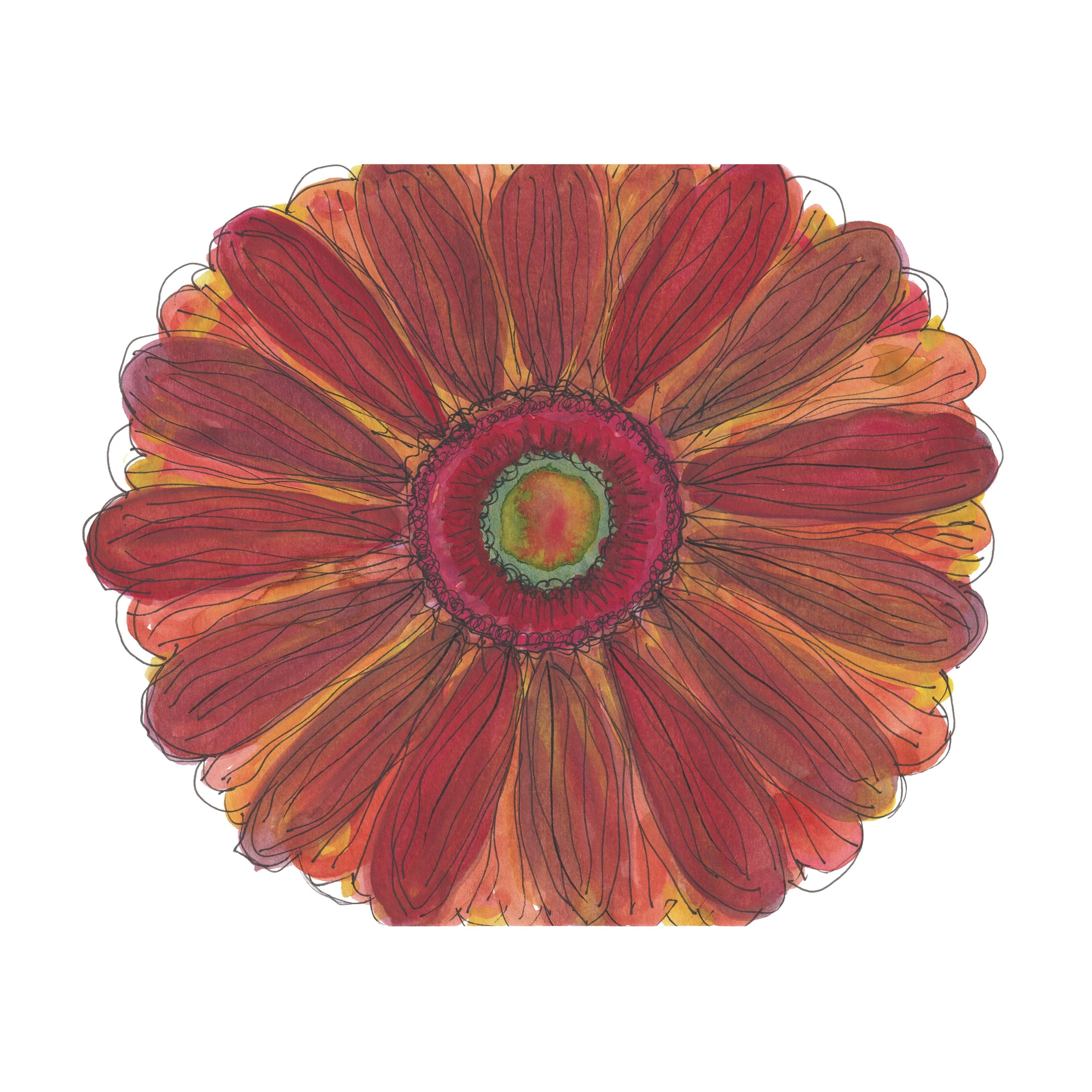 Universal Dimensions Gerbera Where to buy Minimalist Flower Watercolour Watercolor Painting Wall Art Decor Online A4 A5 Sara Meade Design Sarah NZ Artist Small Business Kiwi Aotearoa New Zealand