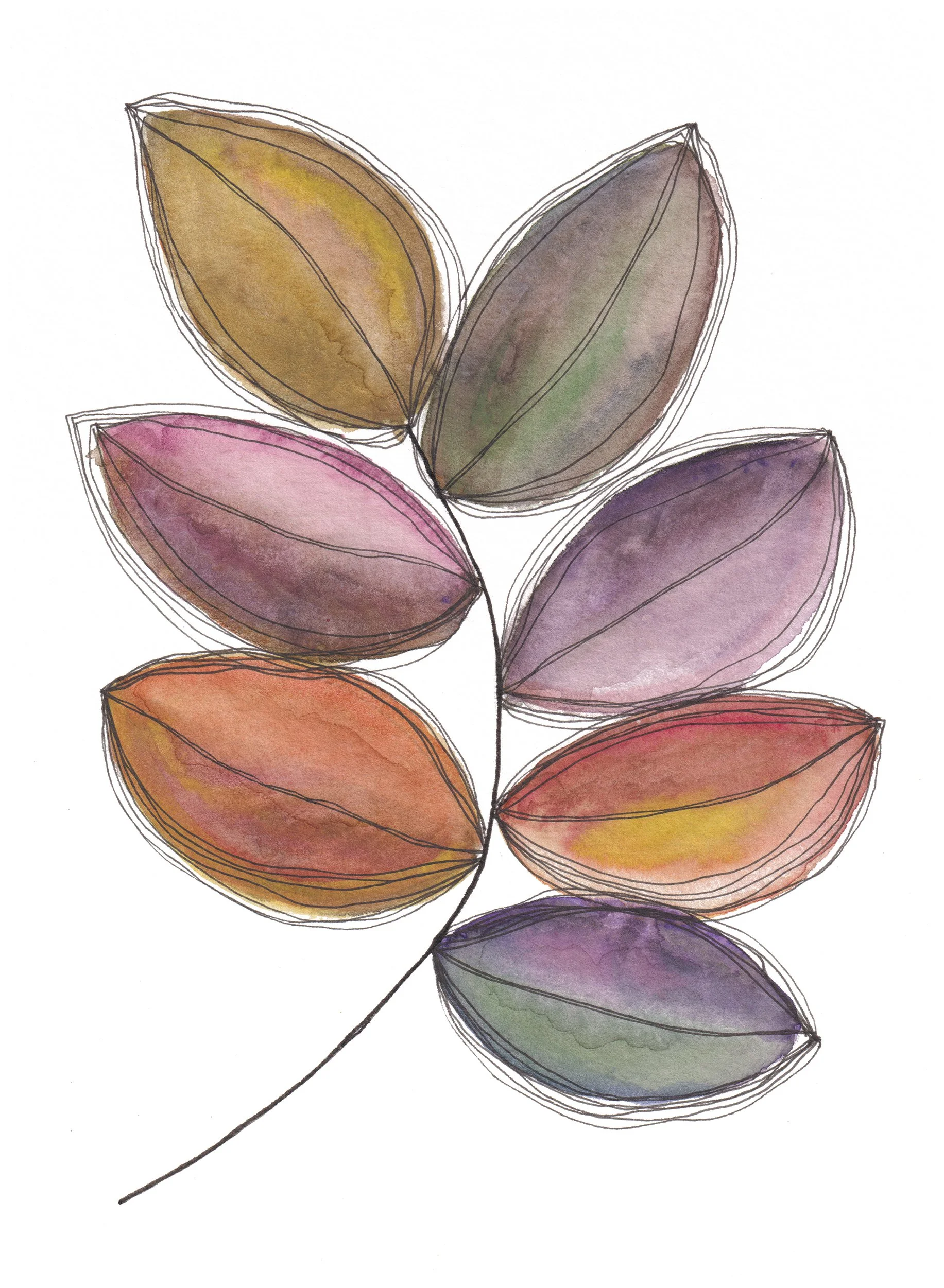 Curving Colours Where to Buy Minimalist Modern Watercolour Watercolor Botanical Art Painting Online Birthday Greeting Card Cards Sara Meade Design NZ Artist Small Business Kiwi Aotearoa New Zealand