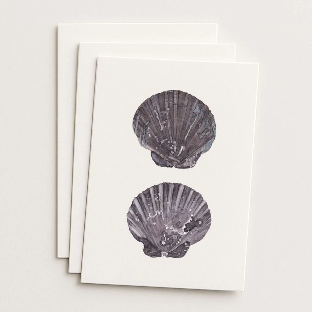 Matarangi Gothic Shell Where to Buy Minimalist Botanical Watercolour Watercolor Art Painting Online Birthday Greeting Card Cards Sara Meade Design NZ Artist Small Business Kiwi New Zealand