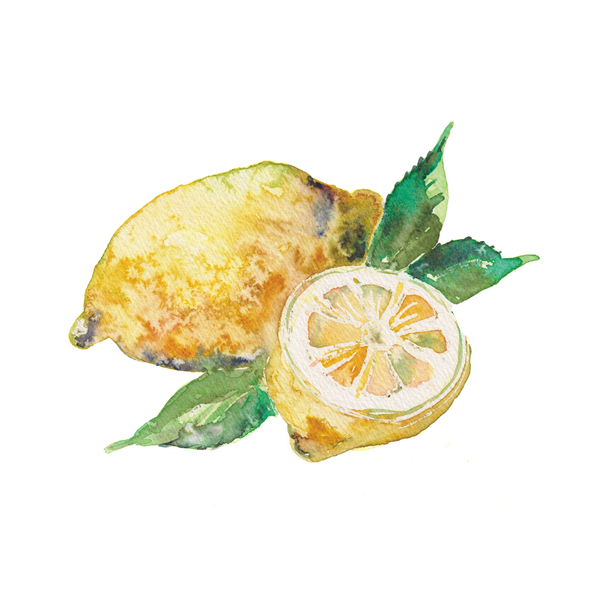 Leafy lemons - A5 print