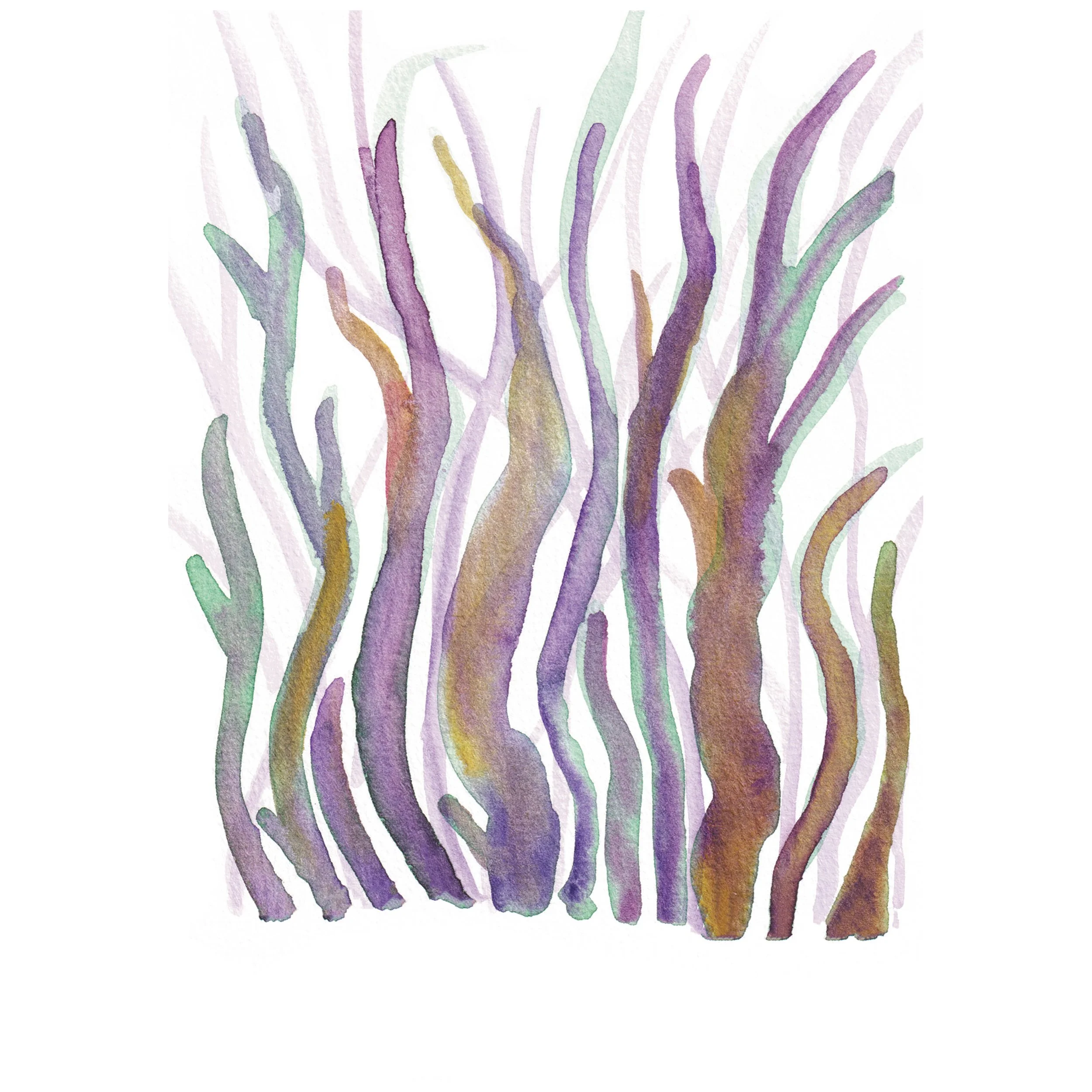 Wavy purple coral