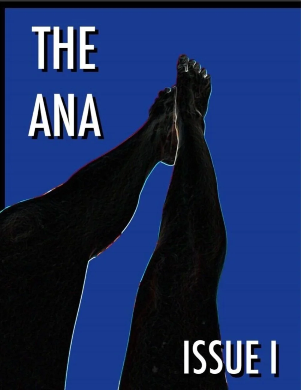 Cover of The ANA Issue 1 magazine with black hands pressed together against a blue background.