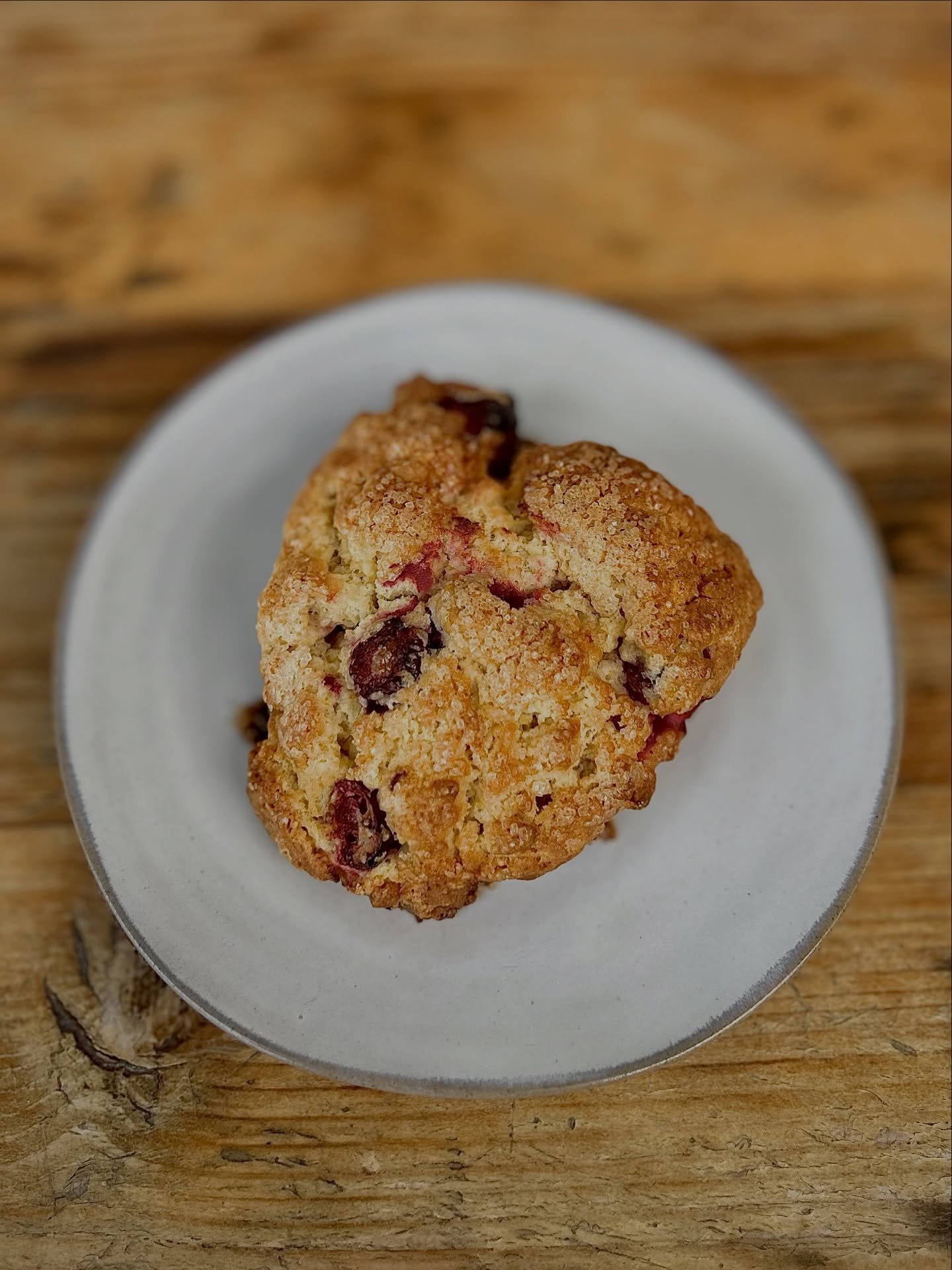 A quick look at a few holiday specials at the bakery this week ✨ 

&bull; sweet scone - cranberry orange 
&bull; savory scone - carmelized onion, kale &amp; cheddar
&bull; cranberry walnut loaf
&bull; stollen (slices &amp; whole loaves)