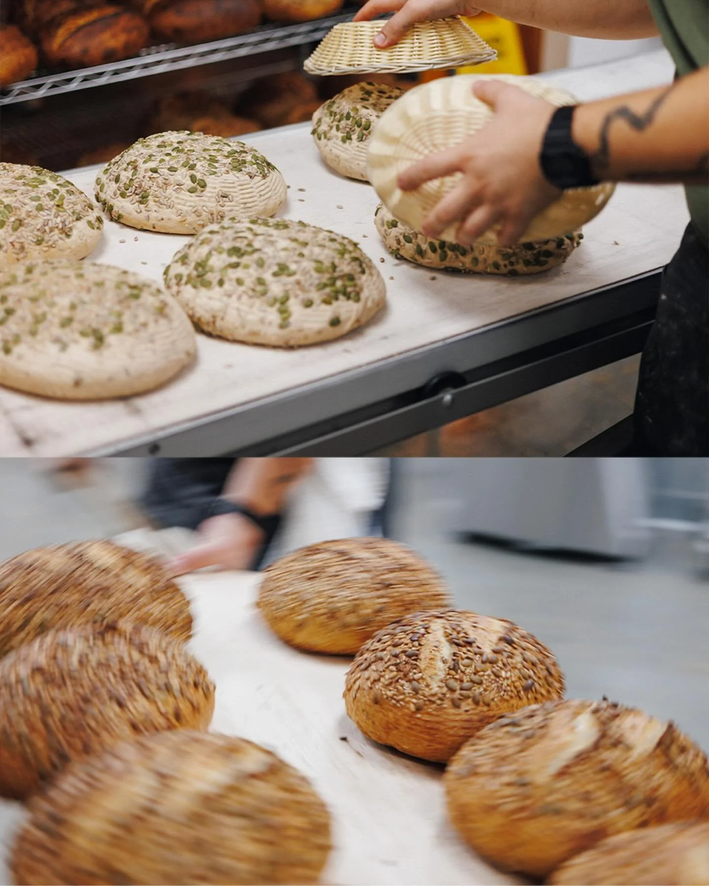 Seeded Hearth is one of our staples ✨ 

sourdough culture, joaquin oro flour, sifted wheat flour, sunflower, pumpkin, sesame, flax &amp; chia seeds