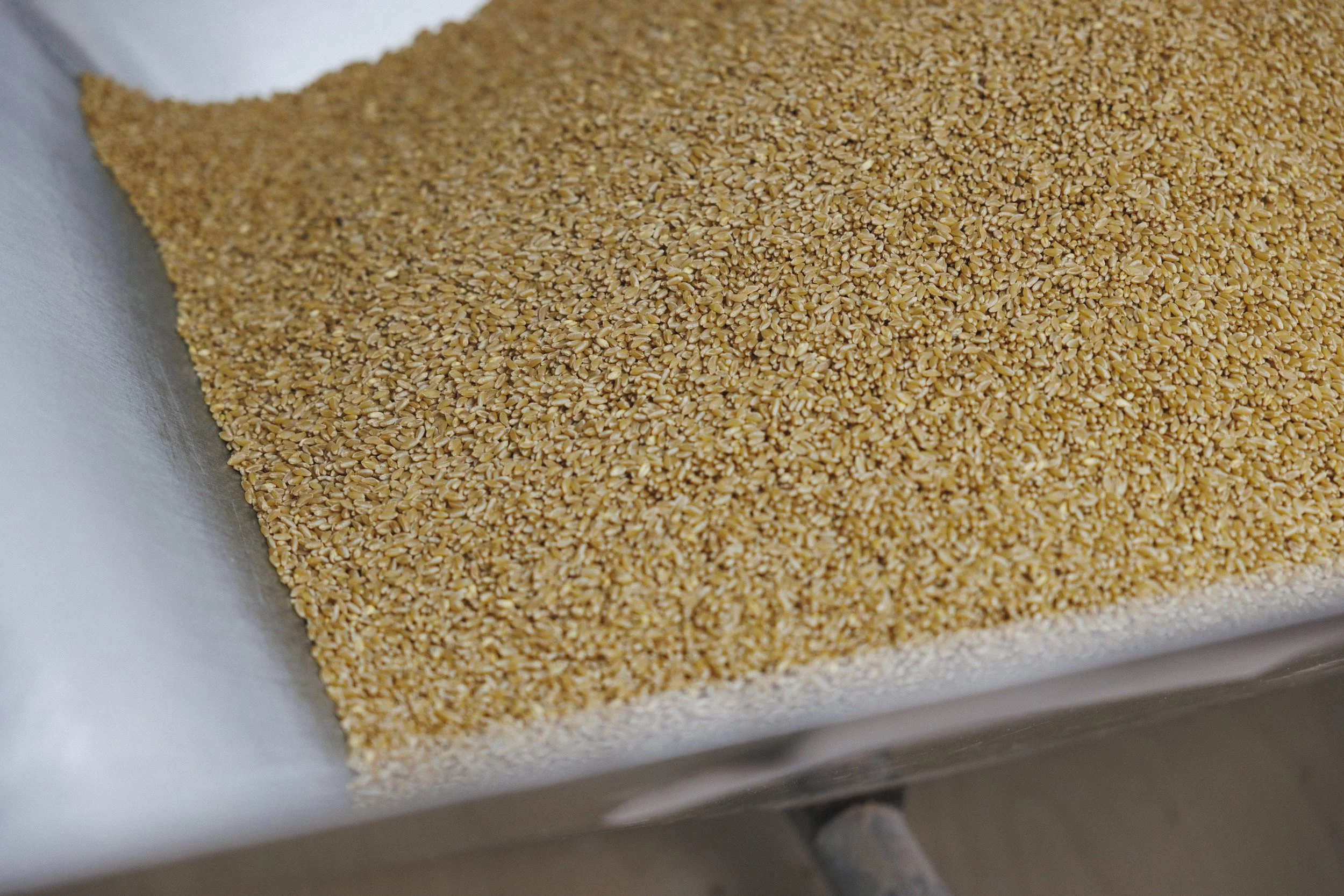 Close-up of a large pile of sesame seeds on a metallic surface.