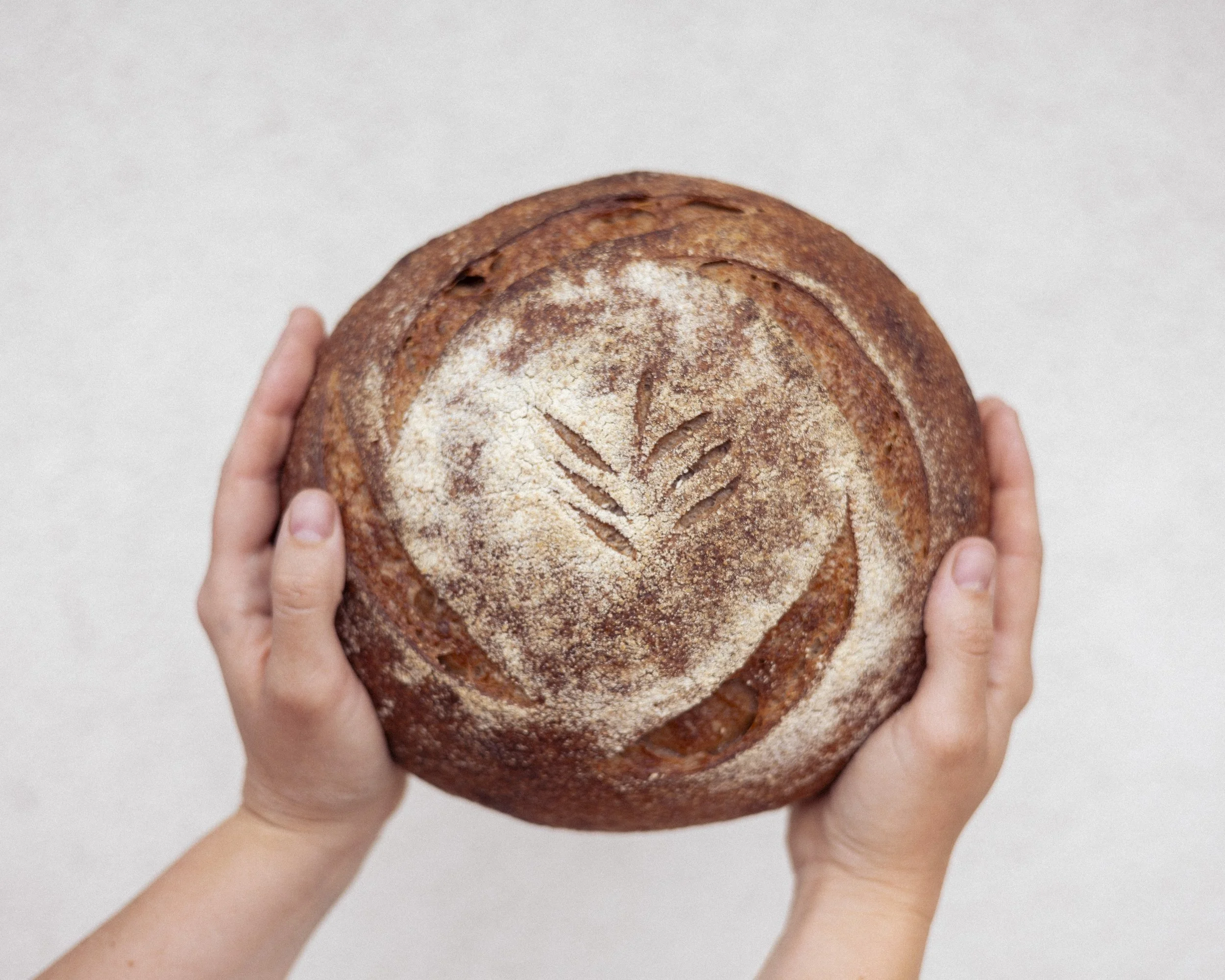 Hands holding a round loaf of bread with a leaf pattern scored on top, dusted with flour.
