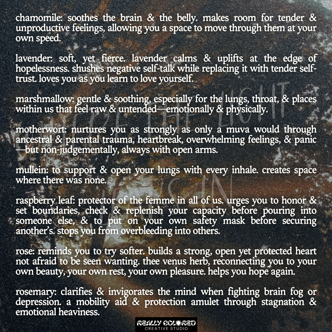 where the light leaks in herbal smoke blend 03.png
