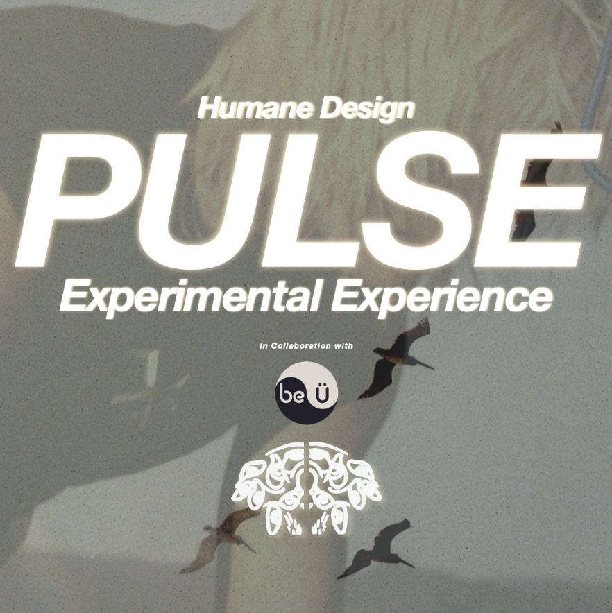 Pulse Live Music + Dance