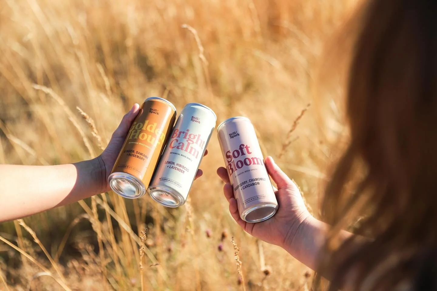 We keep it simple on purpose.

Each blend starts with functional herbs and adaptogens, brewed into a strong botanical tea. We layer in kava for relaxation, add a bit of real fruit juice for balance, and finish with carbonation to pull the aromatics f